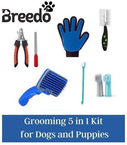 breedo Combo Of 5 Slicker + Nail Clipper + Comb + Gloves + Teeth Brush Grooming Kit Basic Comb forDog & Cat, Dog, Monkey, Rabbit, Hamster-picture-13