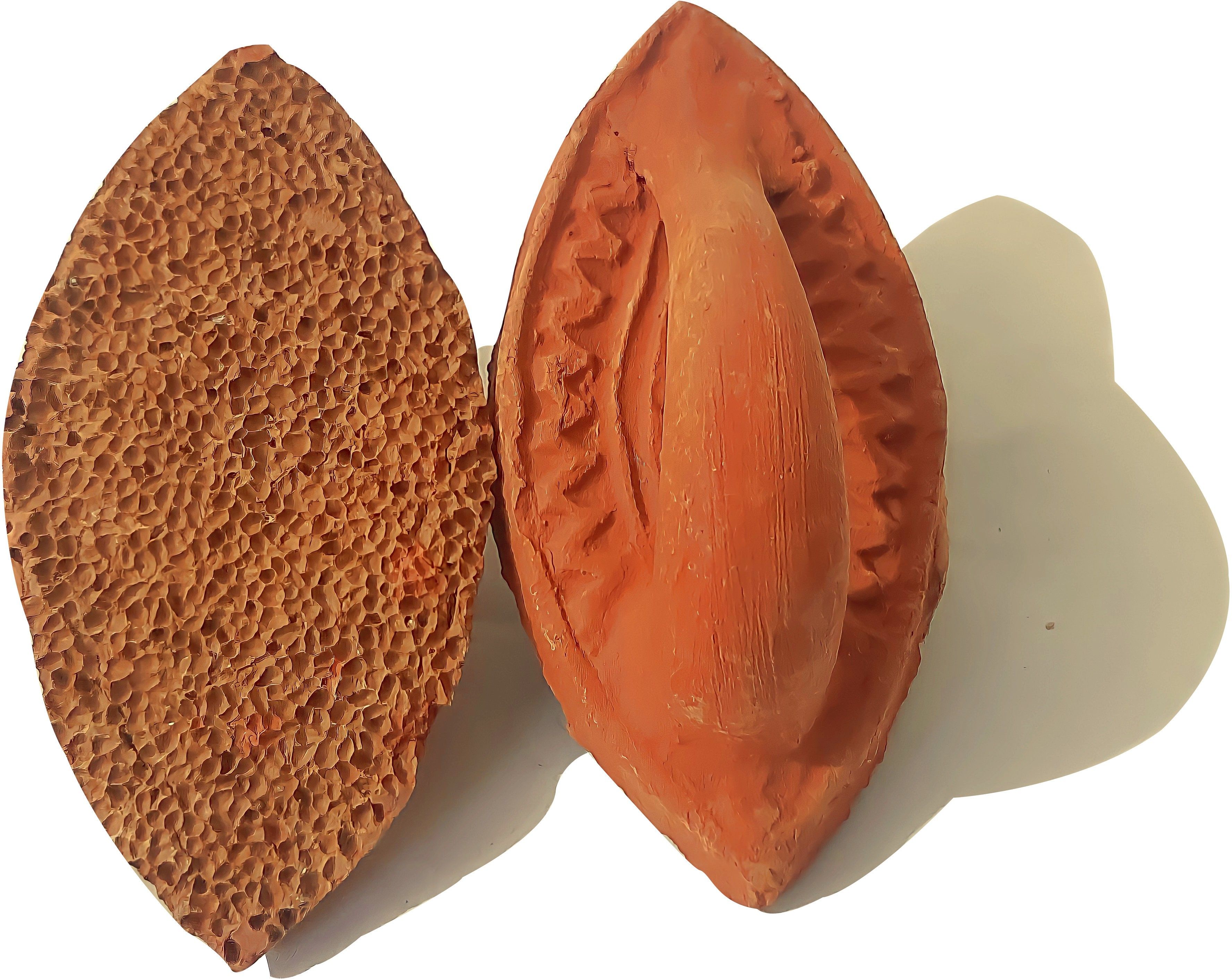 rkd enterprises Terracotta Best Natural Pumice Stone Foot Scrubber For Unisex (Pack of 2)-picture-15