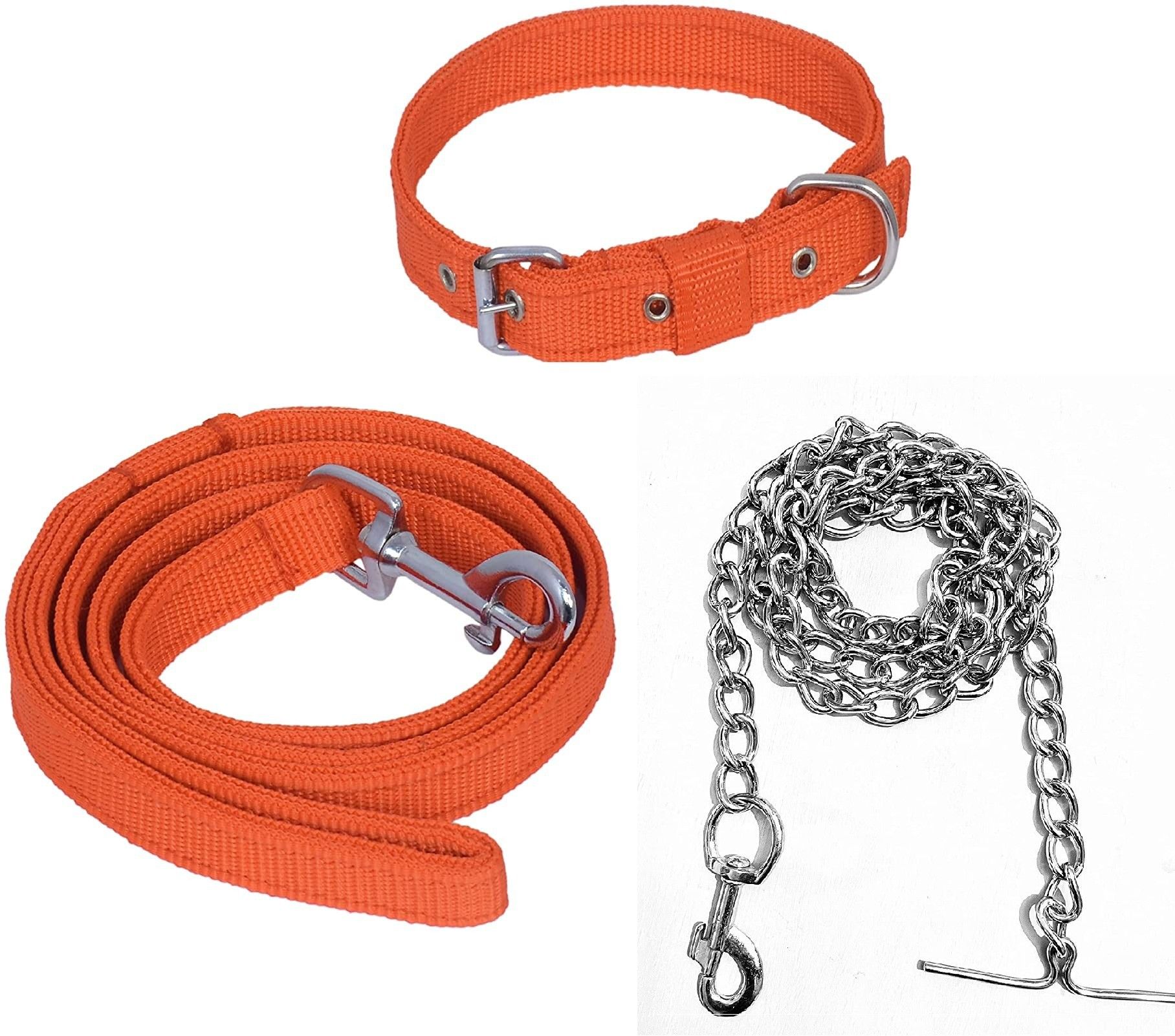 Good Quality Orange Belt/Puppy Collar Belt Dog Collar & Leash Steel Chain Dog Collar & Chain-image-31