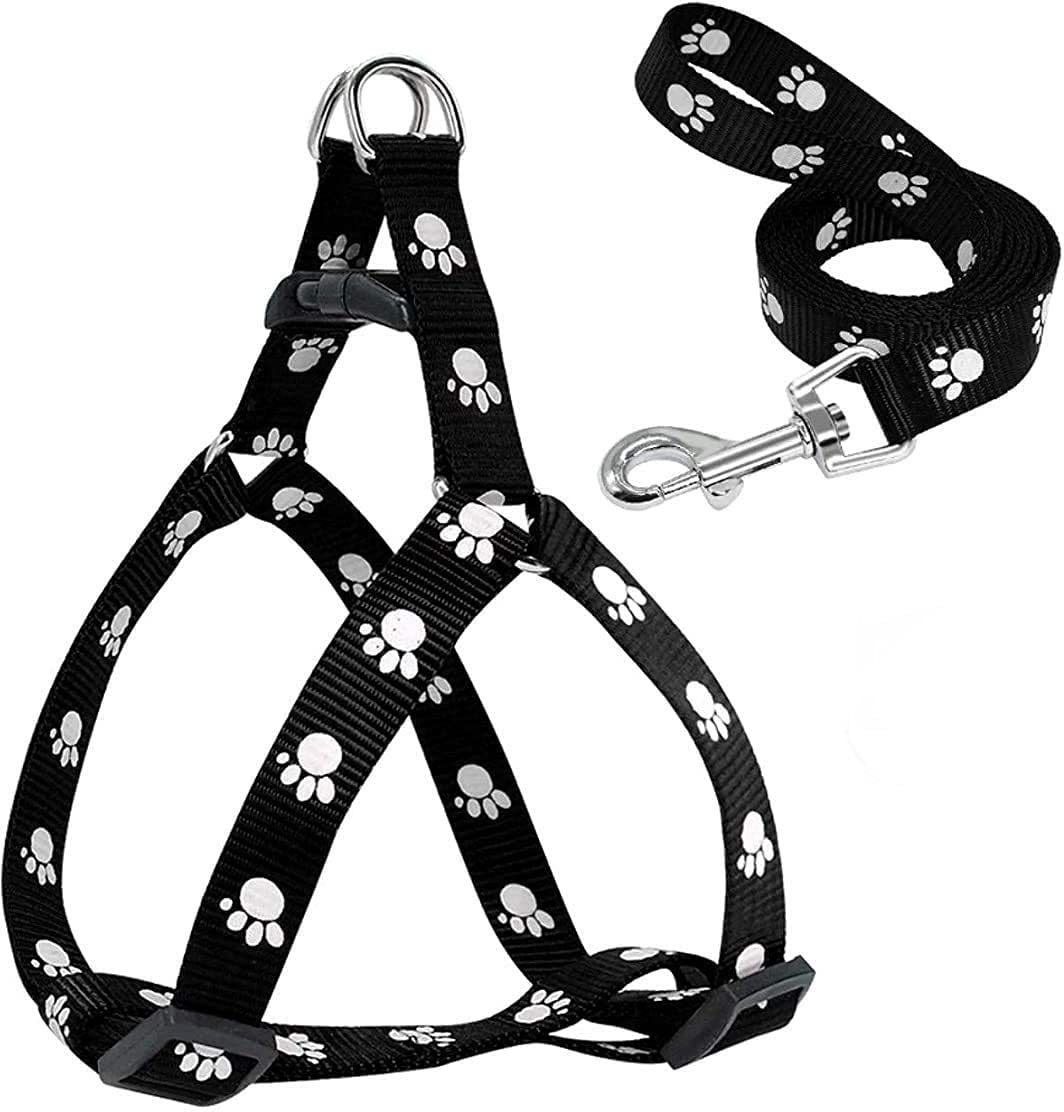 Dog & Cat Harness & Chain-image-24