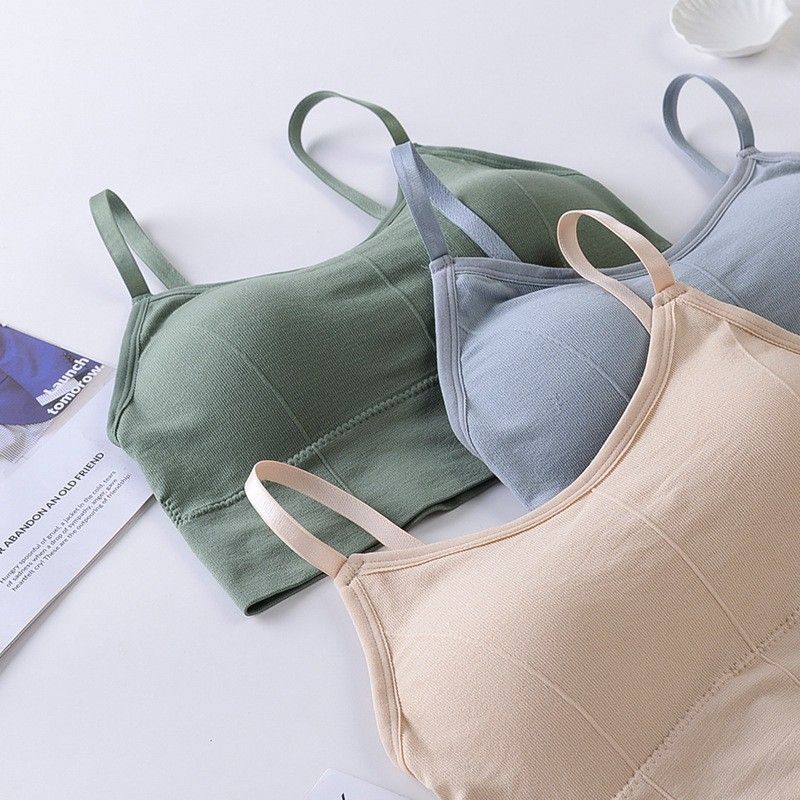 infinium Pack of 3 Women Everyday Lightly Padded Bra-picture-17