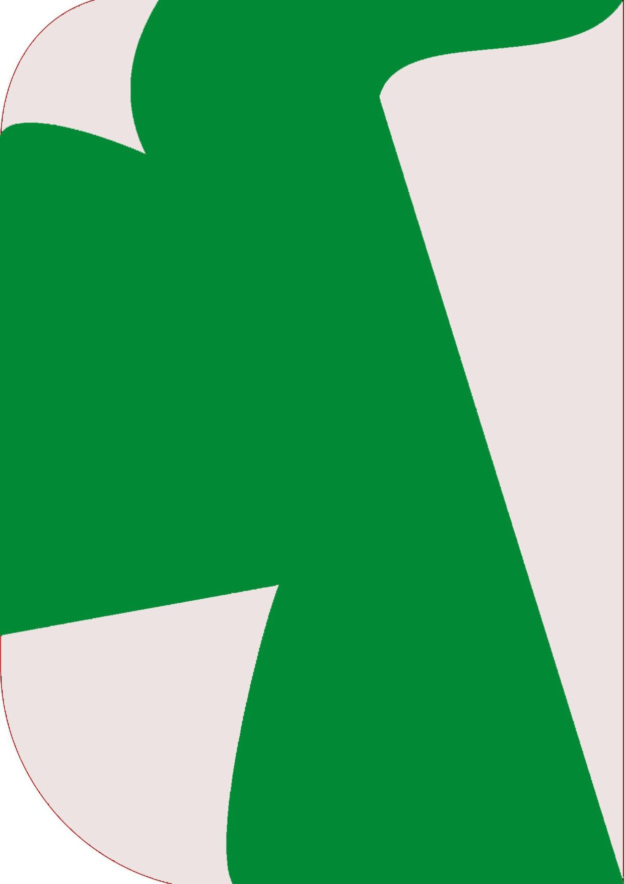 Vistook 8X 12ft ,2 In 1 Colors Single Photography Backdrop (White & Dark Green 2 in 1) Reflector-image-45