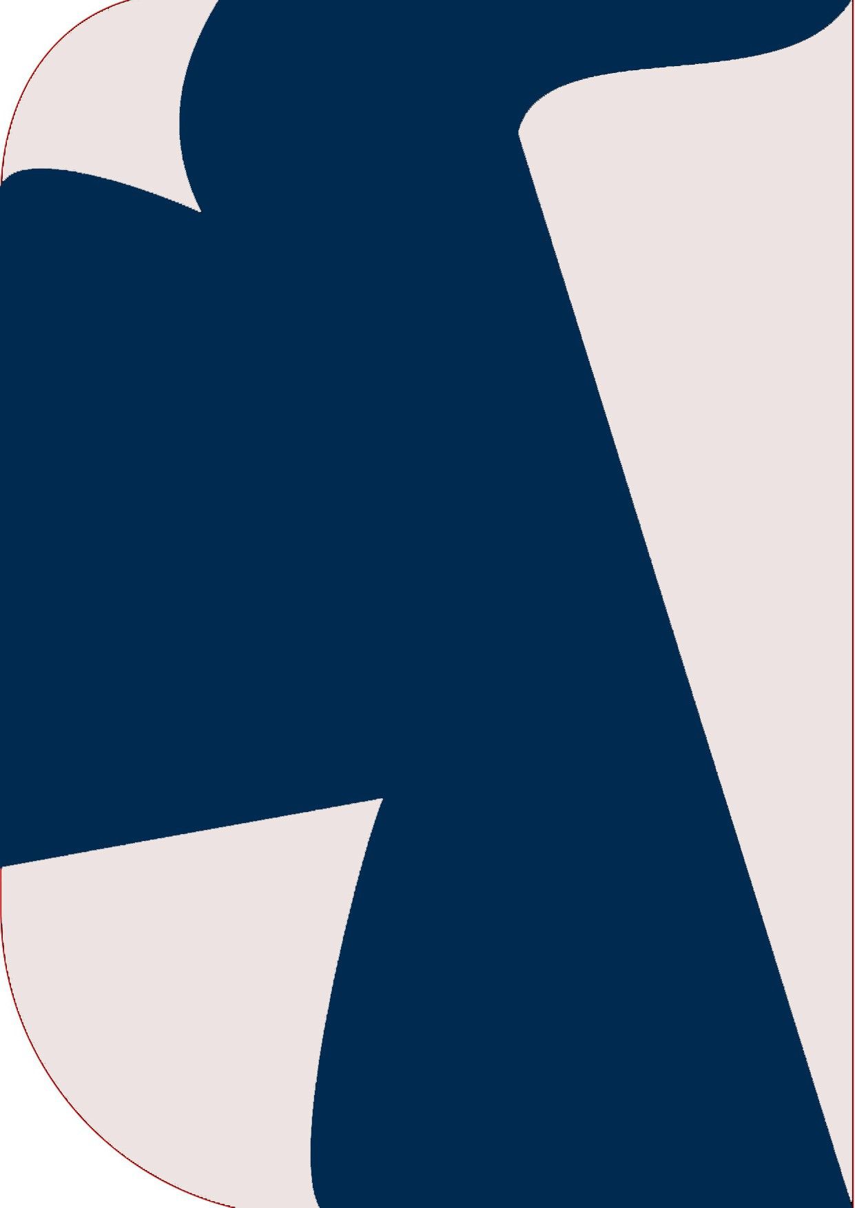 Vistook 8X 12ft ,2 In 1 Colors Single Photography Backdrop (White & Navy Blue 2 in 1) Reflector-picture-14