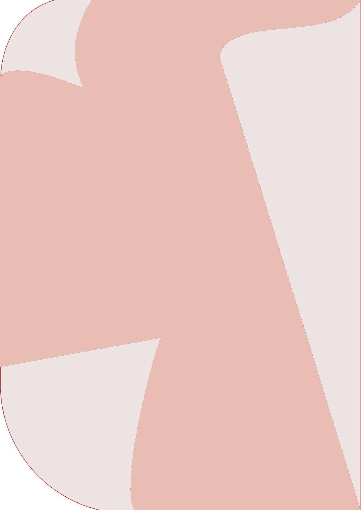 Vistook 8X 12ft ,2 In 1 Colors Single Photography Backdrop(Pink & Pink 2 in 1) Reflector-picture-23