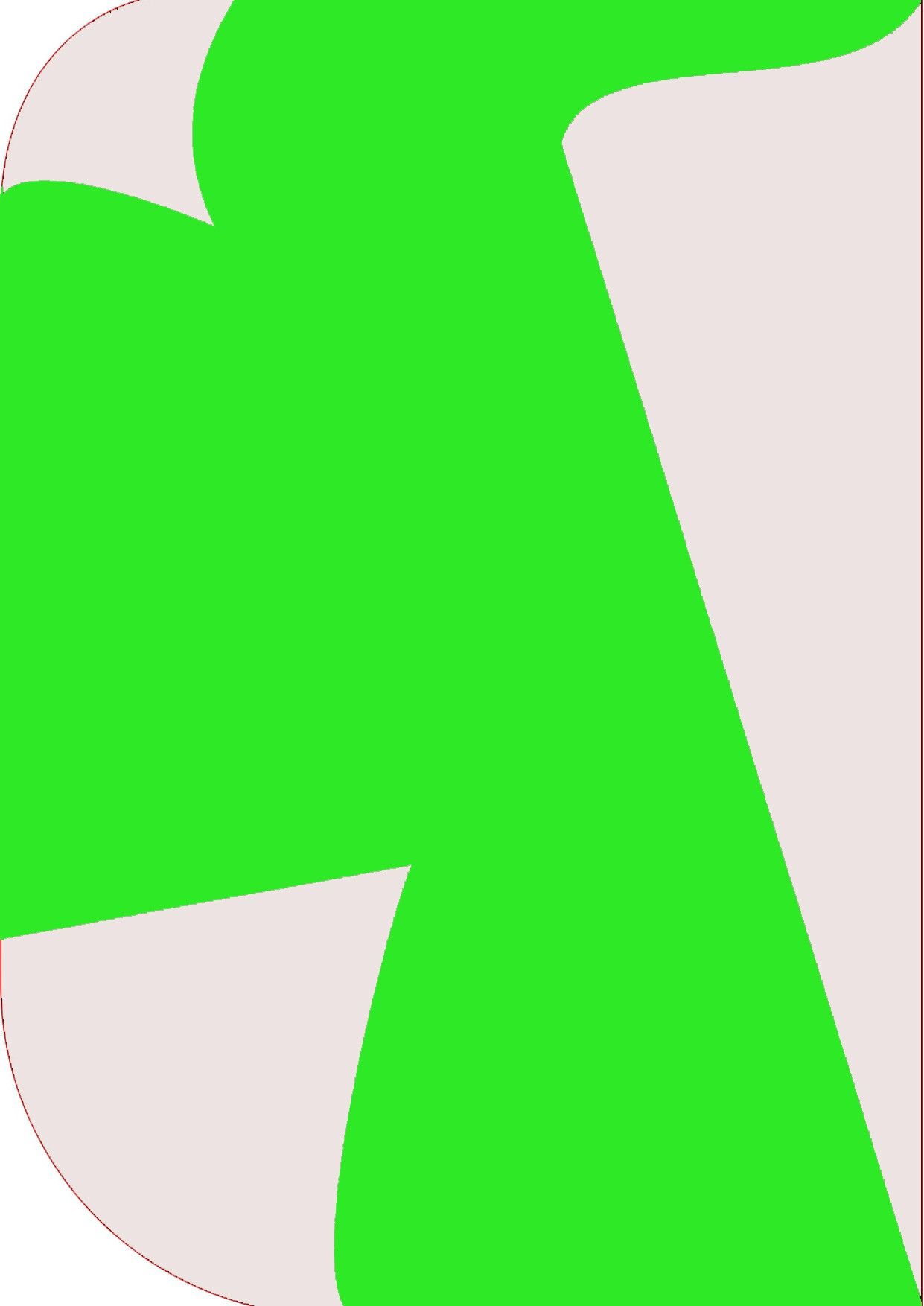 Vistook 8X 12ft ,2 In 1 Colors Single Photography Backdrop (White & P Green 2 in 1) Reflector-picture-19
