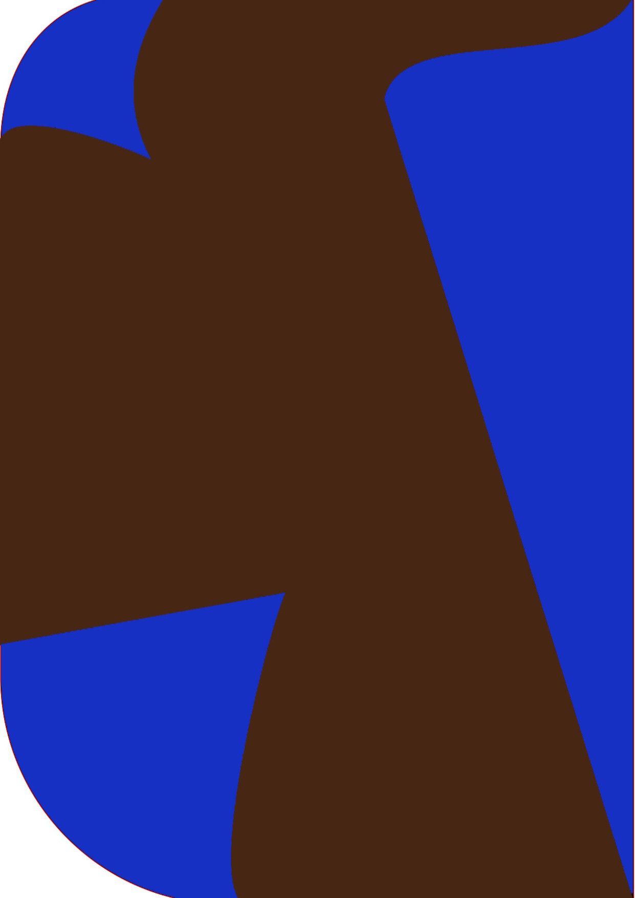 Stookin 8X 12ft ,2 In 1 Colors Single Photography Backdrop(Royal Blue & Brown 2 in 1) Reflector-image-15