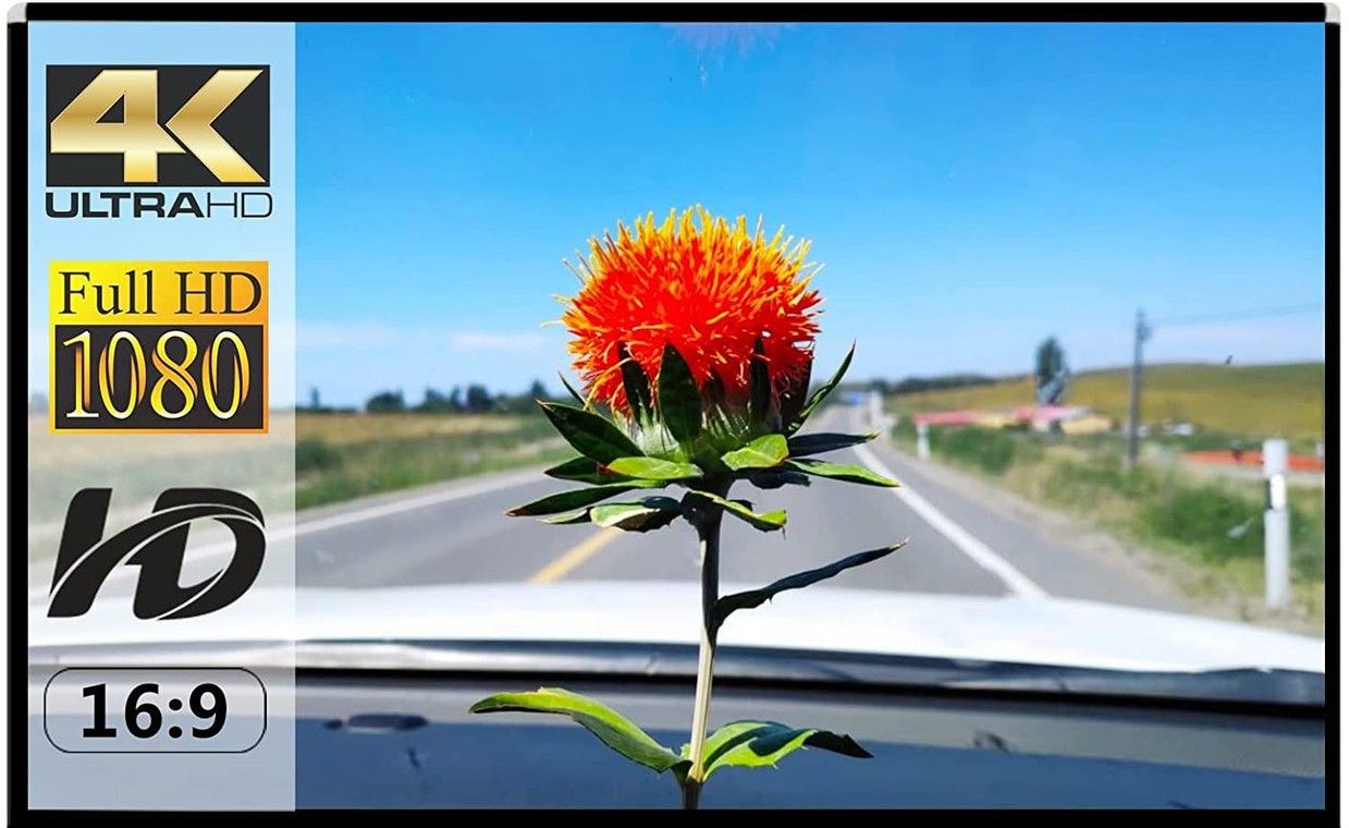 royality 110" Projector Screen, 4K 16:9 Anti-Crease Indoor Outdoor - (96" (W) x 54" (H) Projector Screen (Width 243 cm x 137 cm Height)