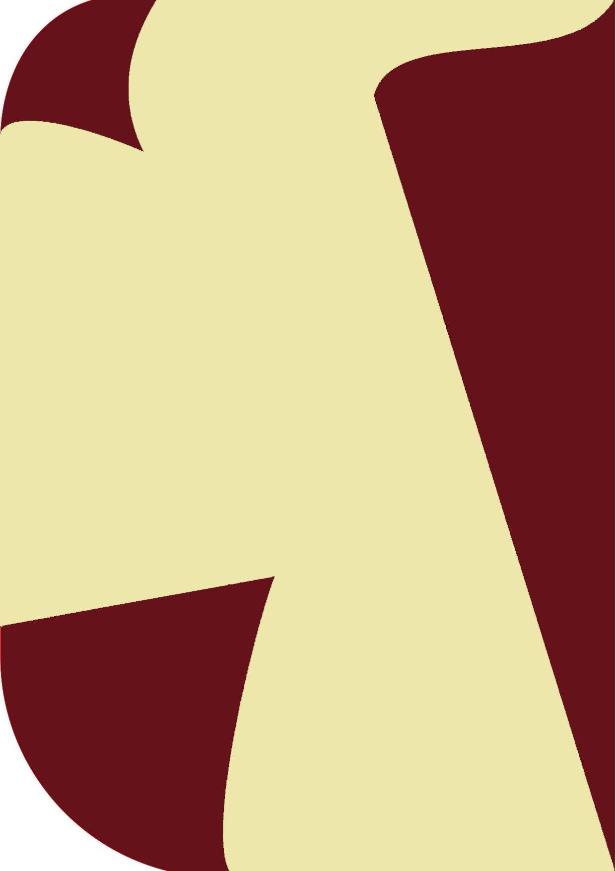 Vistook 8X 12ft ,2 In 1 Colors Single Photography Backdrop(Red & Beige2 in 1) Reflector-image-44