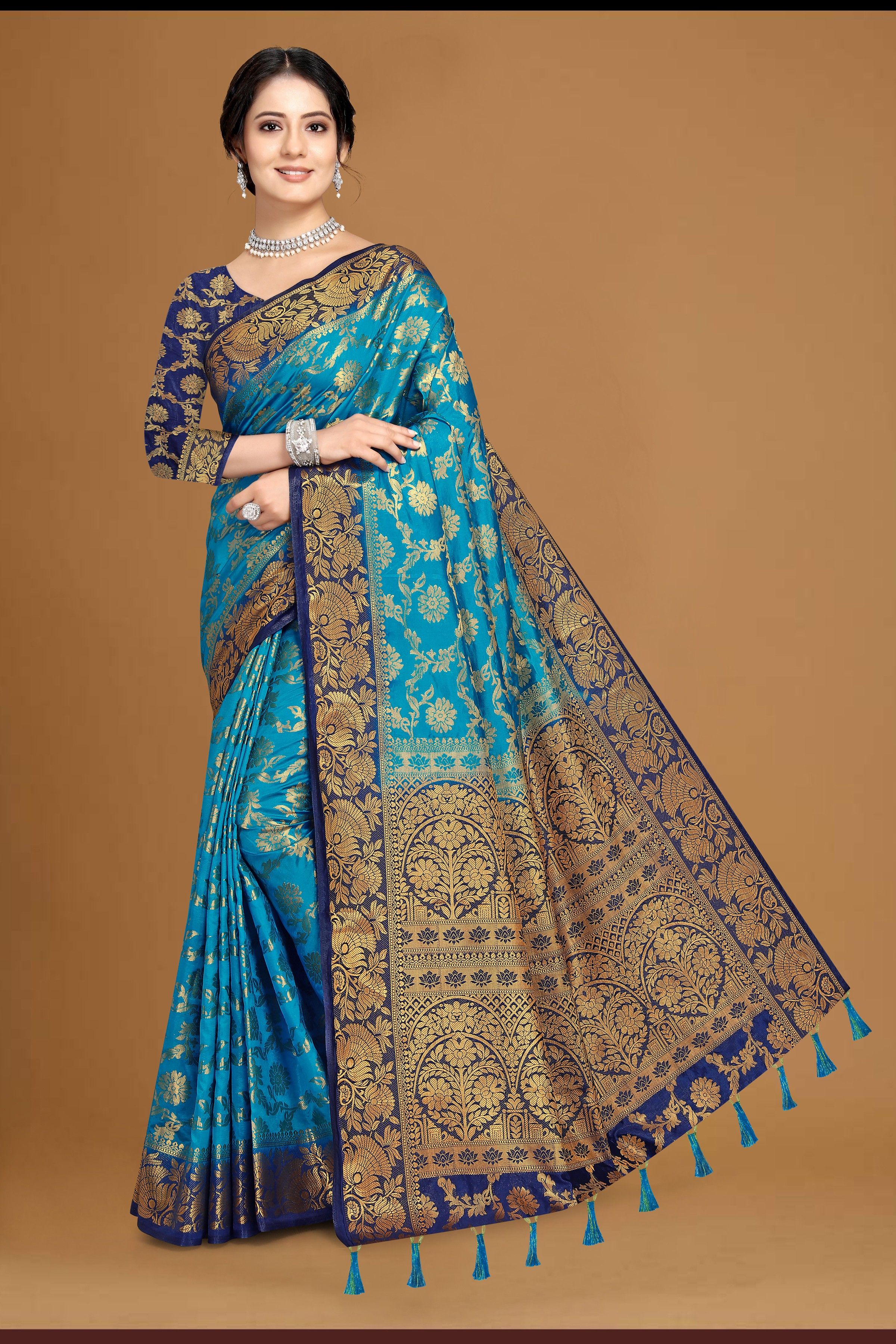 Woven Banarasi Cotton Silk Saree