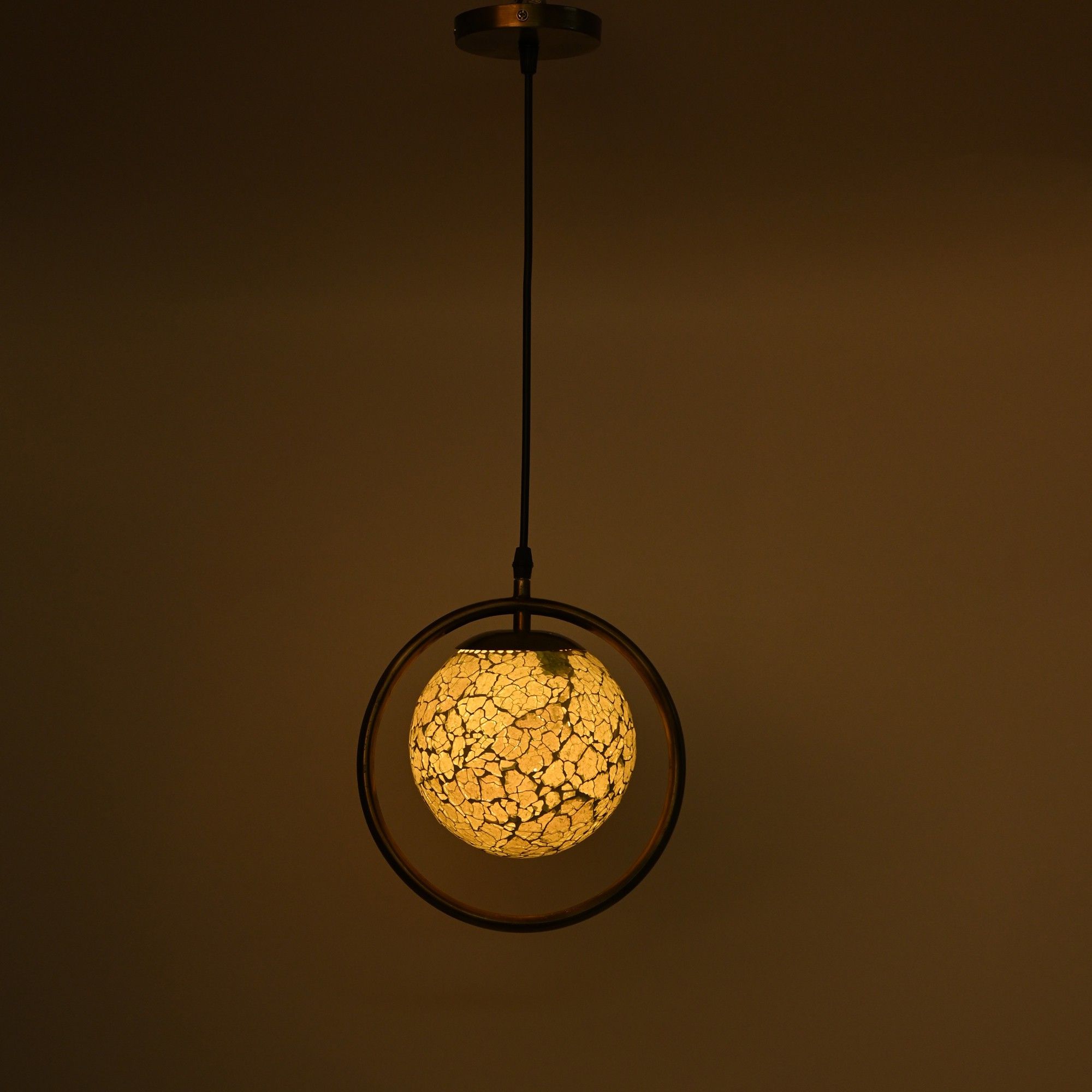 afast Decorative Globe Shape Hanging Ceiling Lamp With Stylish Round Ring & Fixture Pendant Lamp Ceiling Lamp-picture-16