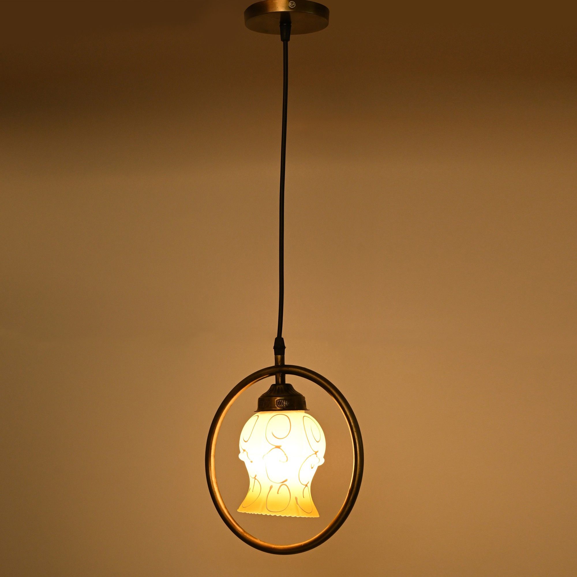 Pendant Lamp Ceiling Lamp-image-33