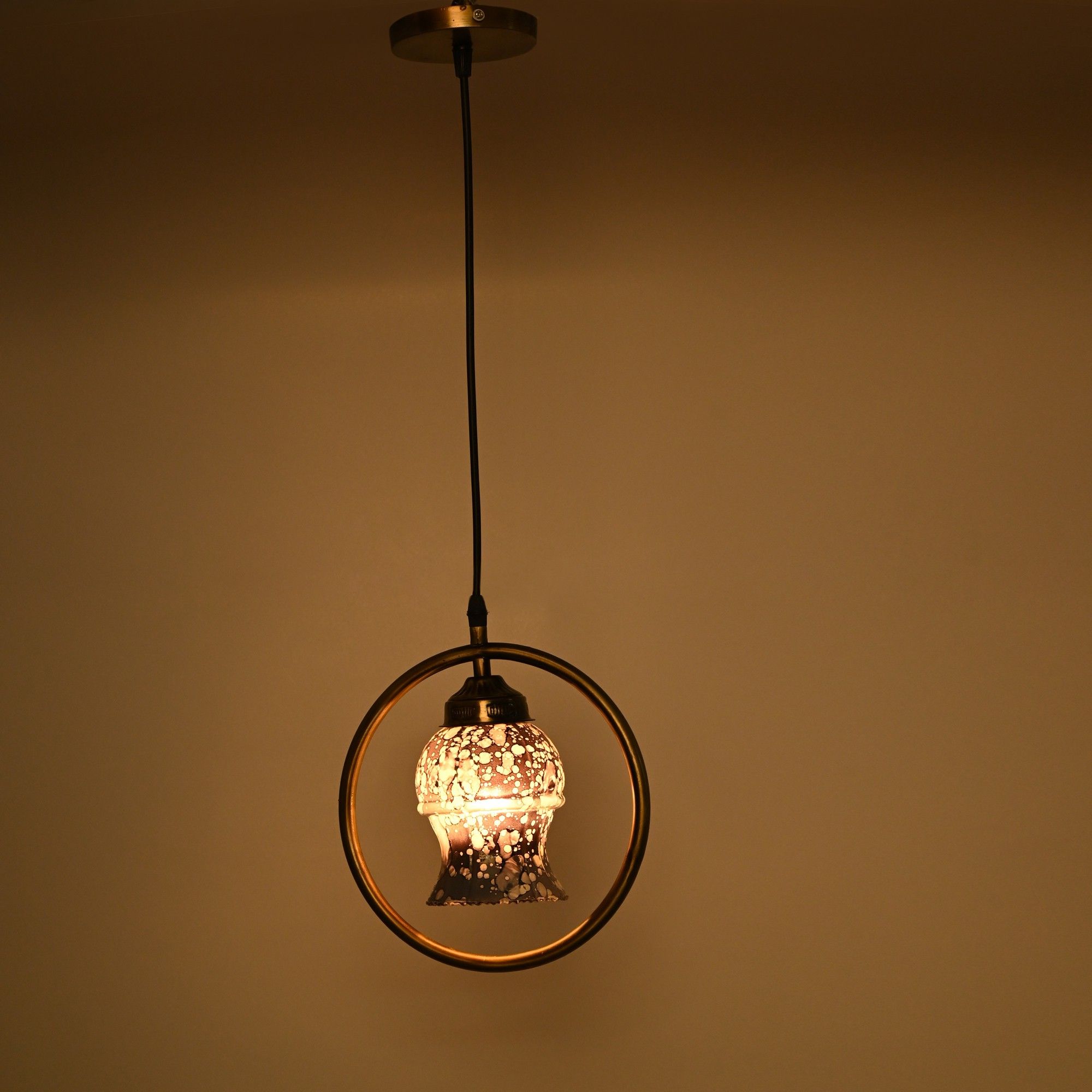 Pendant Lamp Ceiling Lamp-image-36