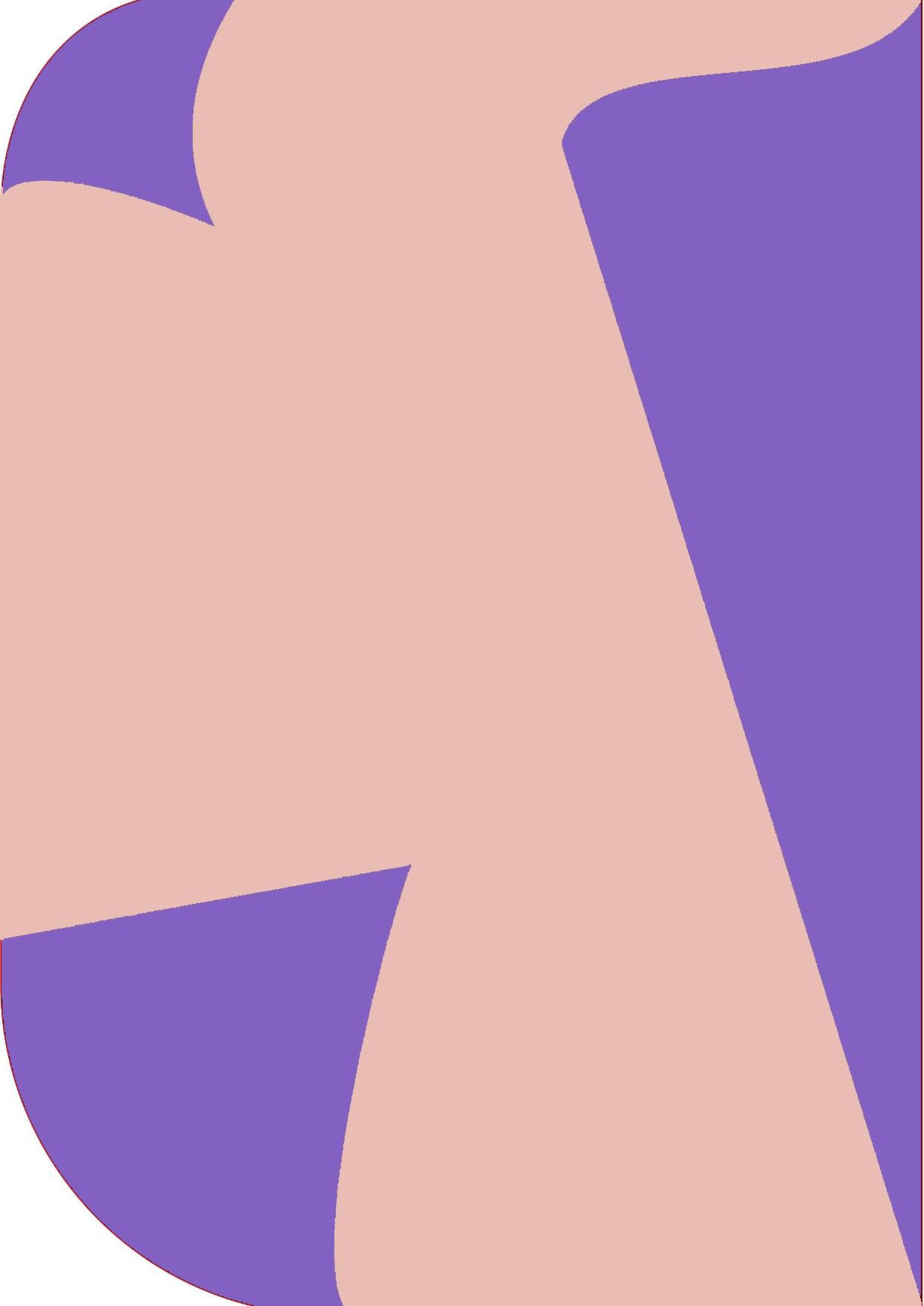 Vistook 8X 12ft,2In1 Colors Single Photography Backdrop(Purple & Pink 2in1) Reflector-picture-41