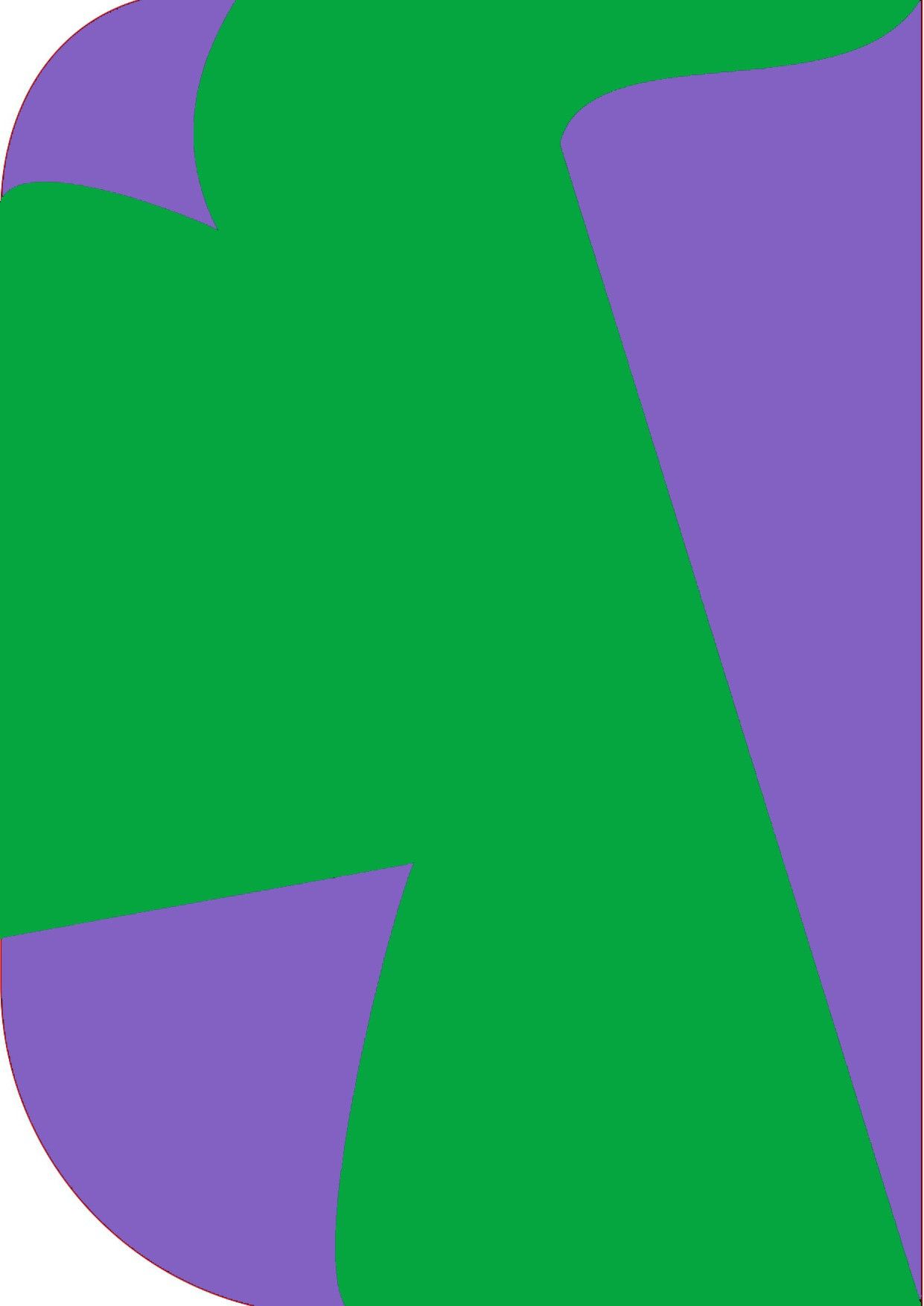Vistook 8X 12ft,2In1 Colors Single Photography Backdrop(Purple & Medium Green 2in1) Reflector-picture-18