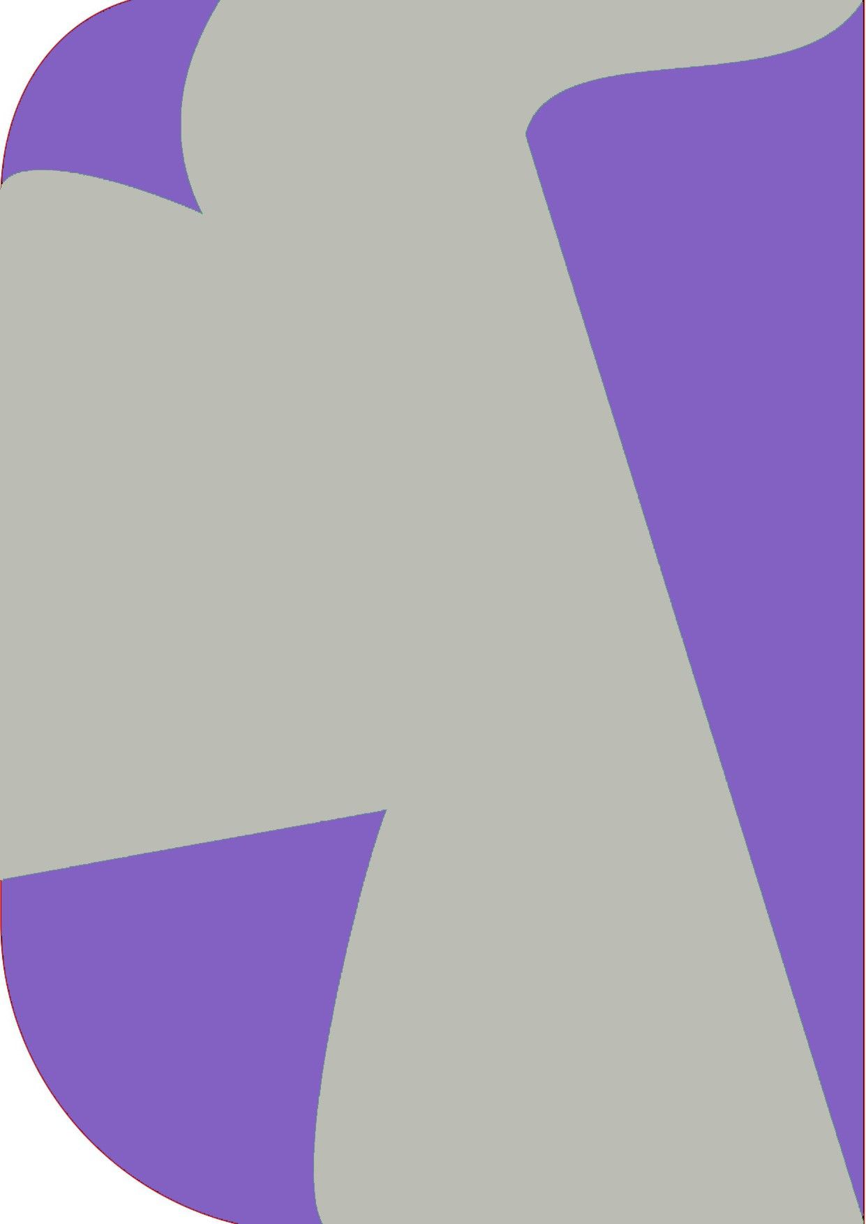 Vistook 8X 12ft,2In1 Colors Single Photography Backdrop(Purple & Gray 2in1) Reflector-picture-34