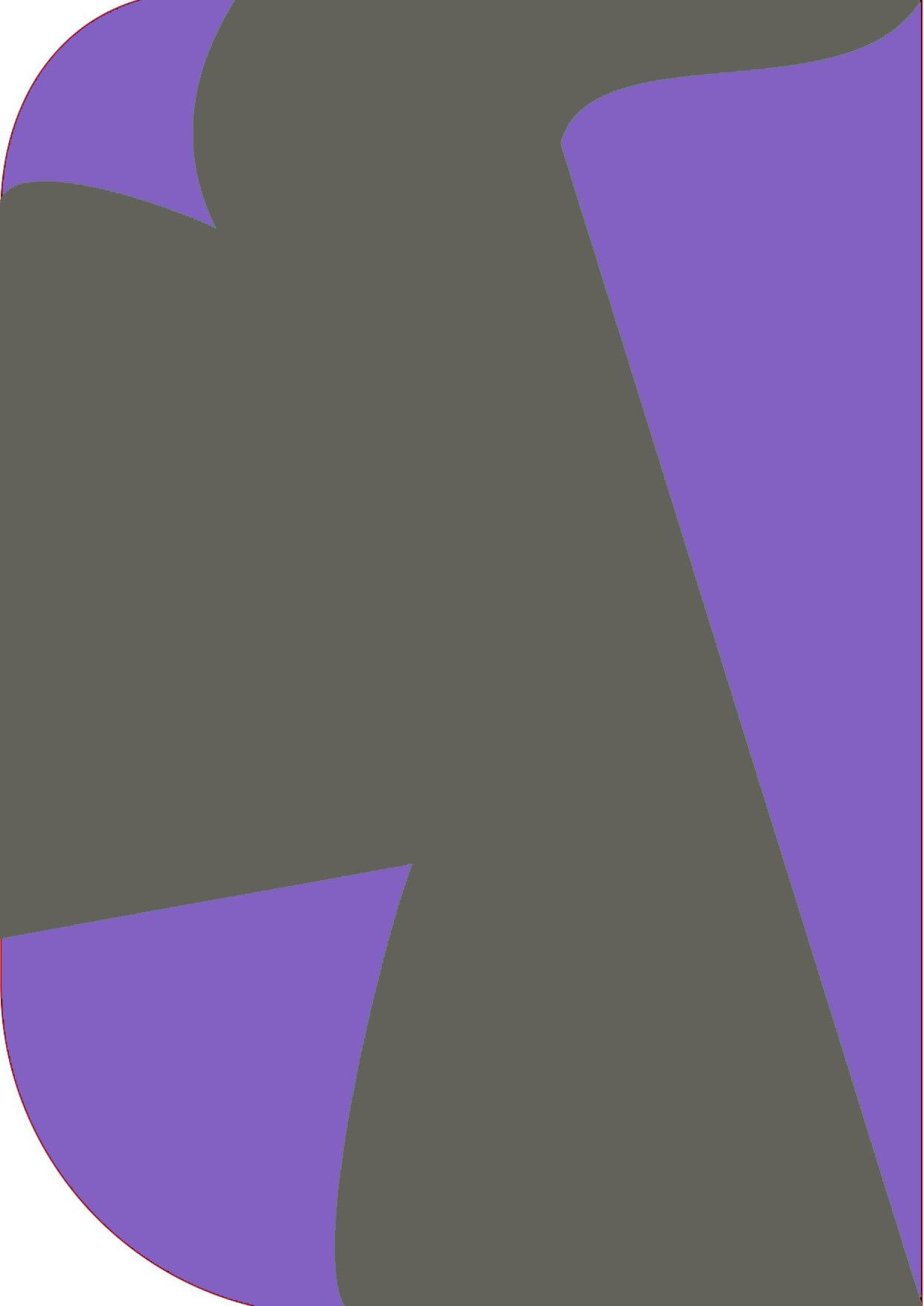 Stookin 8X 12ft,2 In 1 Colors Single Photography Backdrop(Purple & D Gray 2in1) Reflector-picture-35