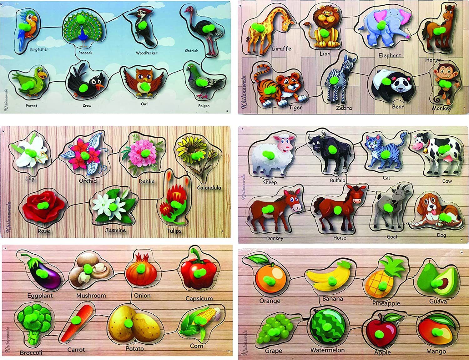 Wooden puzzle set ~ Fruits, Vegetables, Birds, Flower, Domestic & Wild Animal