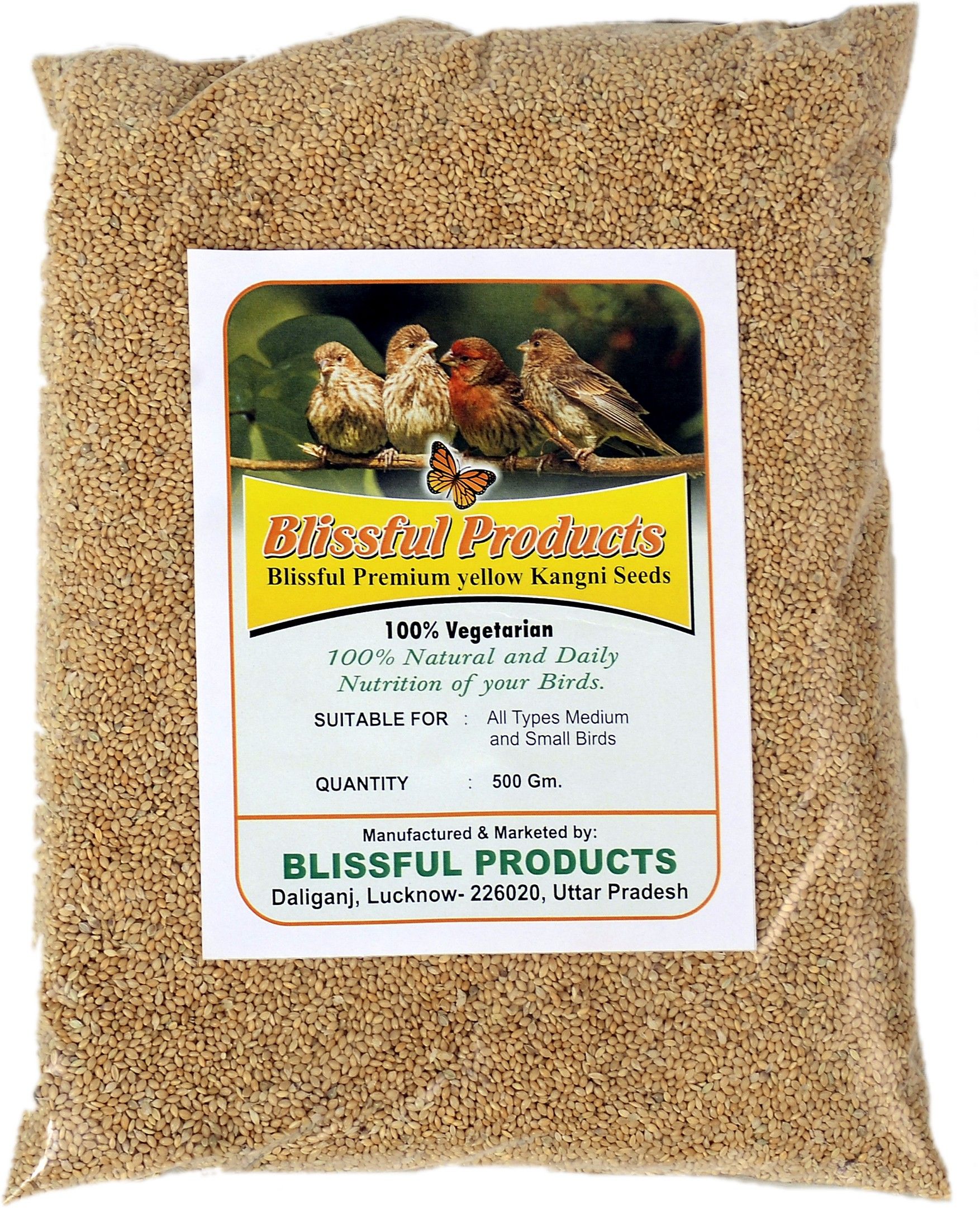 Yellow Millet Kangni Bird Food 0.5 kg Dry Adult Bird Food