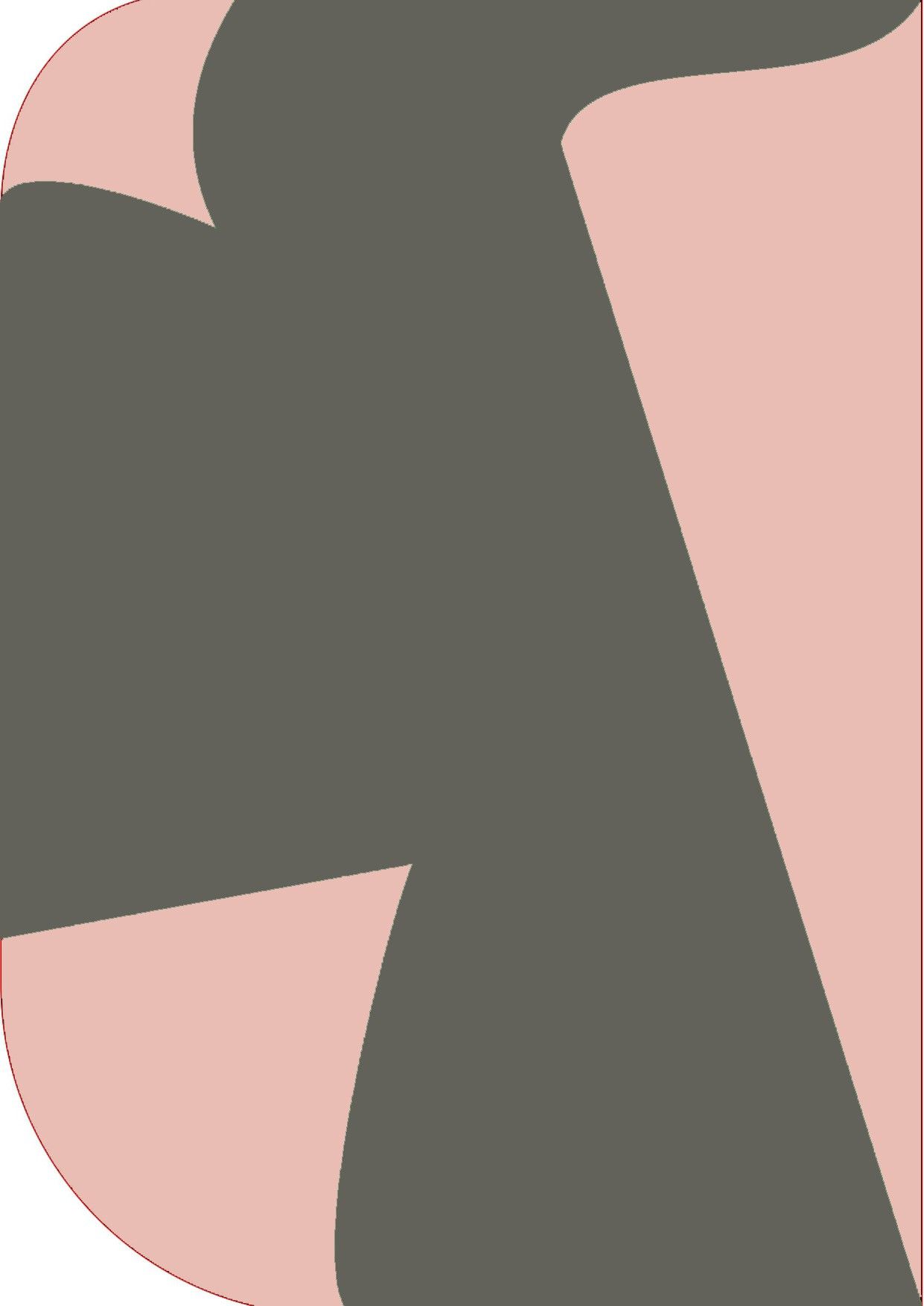 Cam cart 8X 12ft ,2 In 1 Colors Single Photography Backdrop(Pink & Dark Grey 2 in 1) Reflector-image-35