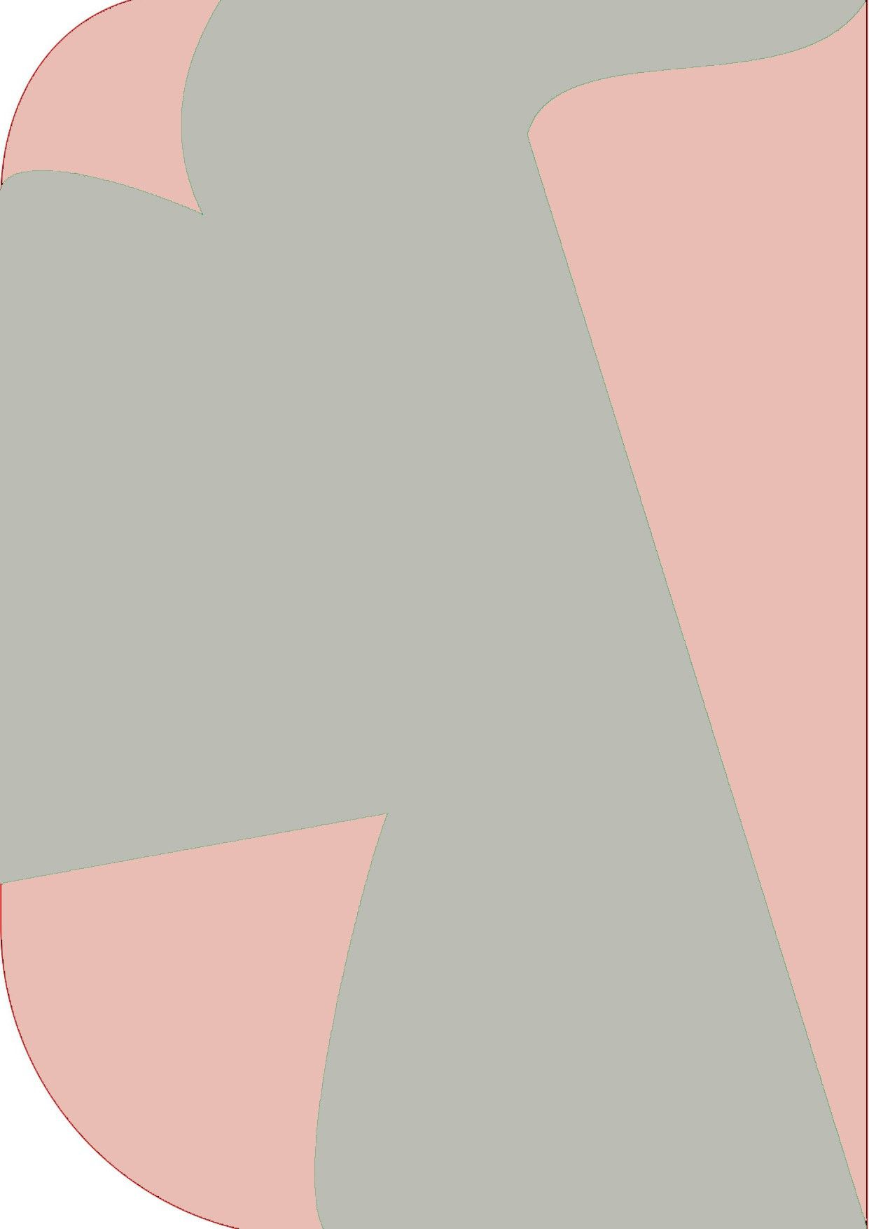 Cam cart 8X 12ft ,2 In 1 Colors Single Photography Backdrop(Pink & Gray 2 in 1) Reflector-image-1