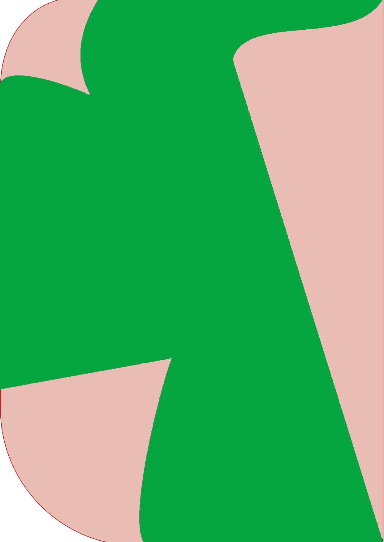 Stookin 8X 12ft ,2 In 1 Colors Single Photography Backdrop(Pink & Medium Green 2in1) Reflector-picture-19