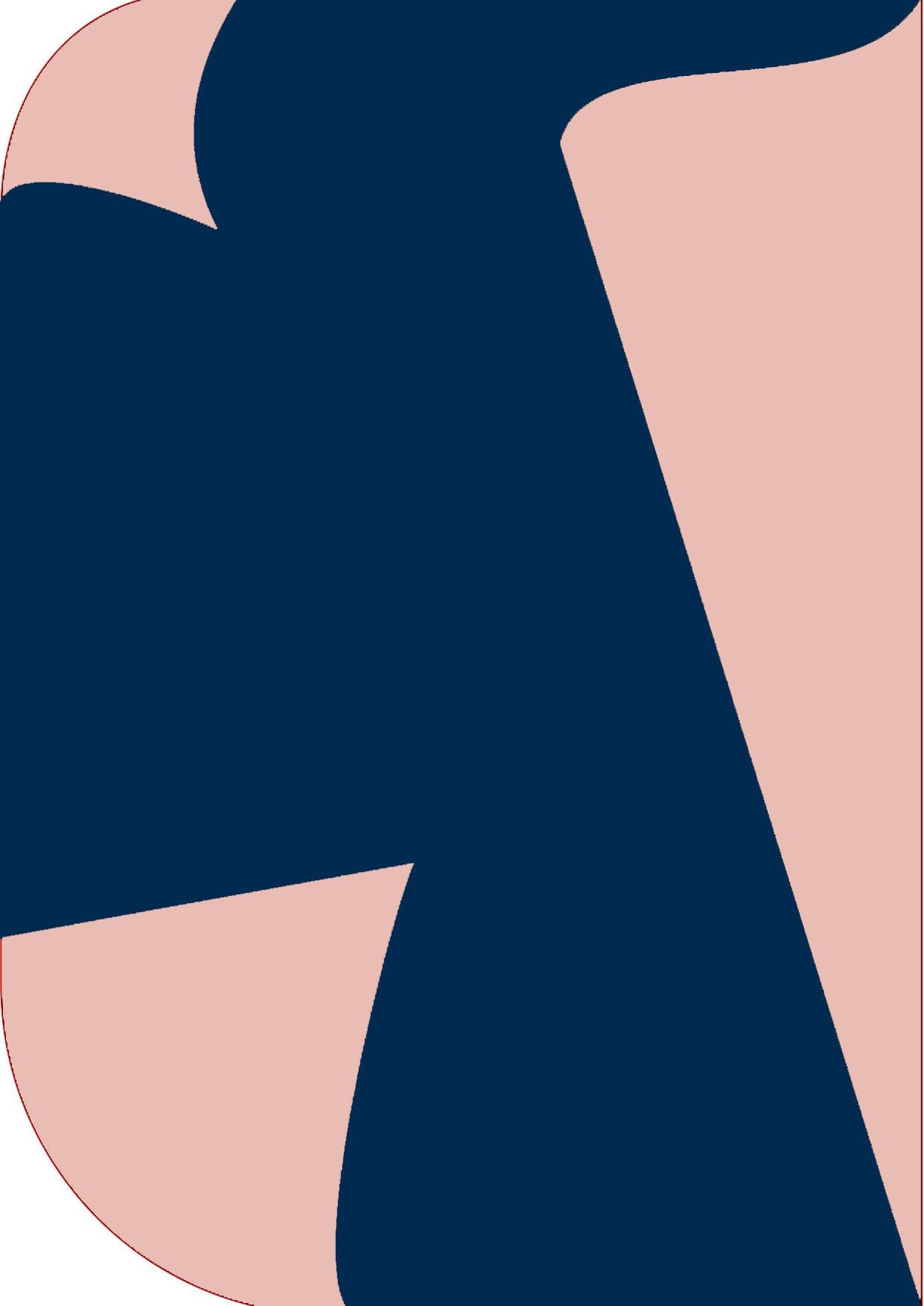 Vistook 8X 12ft ,2 In 1 Colors Single Photography Backdrop(Pink & Navy Blue 2 in 1) Reflector-picture-47