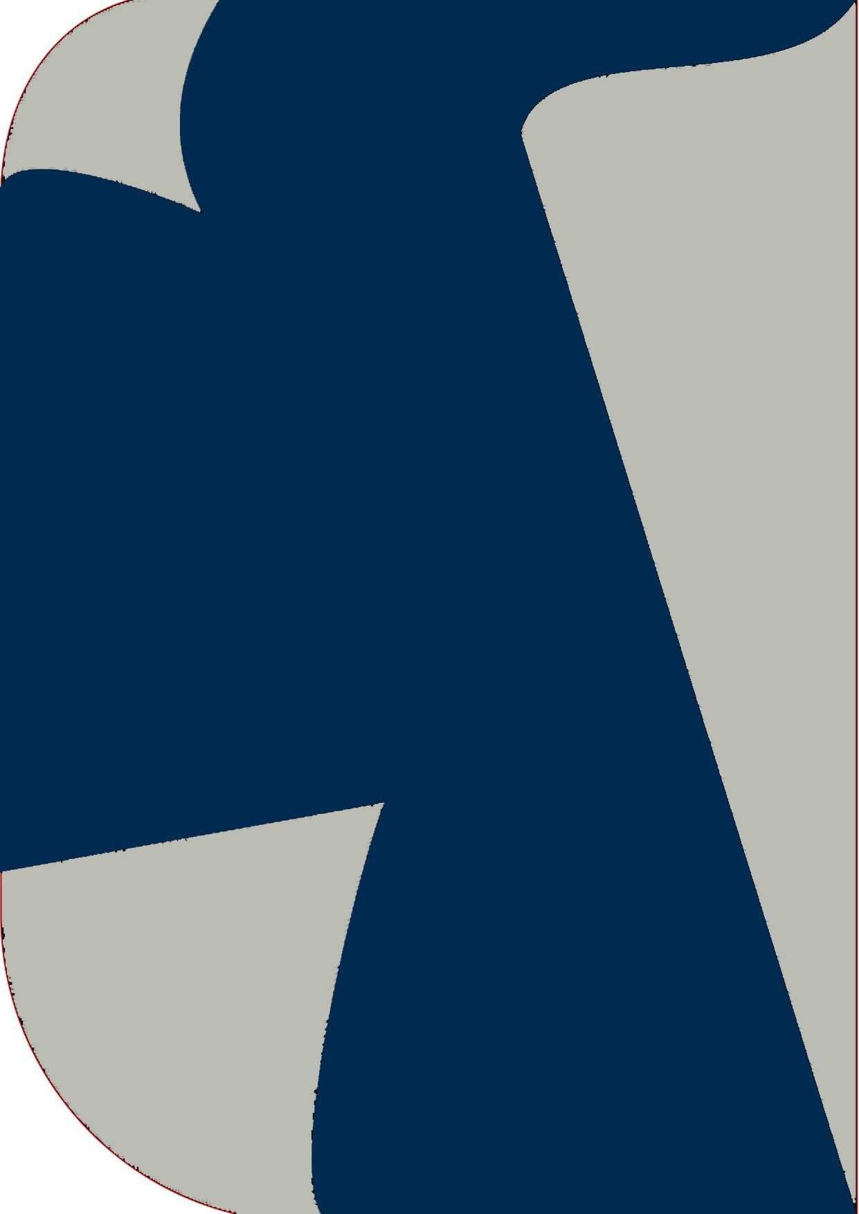 Cam cart 8X 12ft ,2 In 1 Colors Single Photography Backdrop(Grey & Navy Blue 2 in 1) Reflector-picture-12