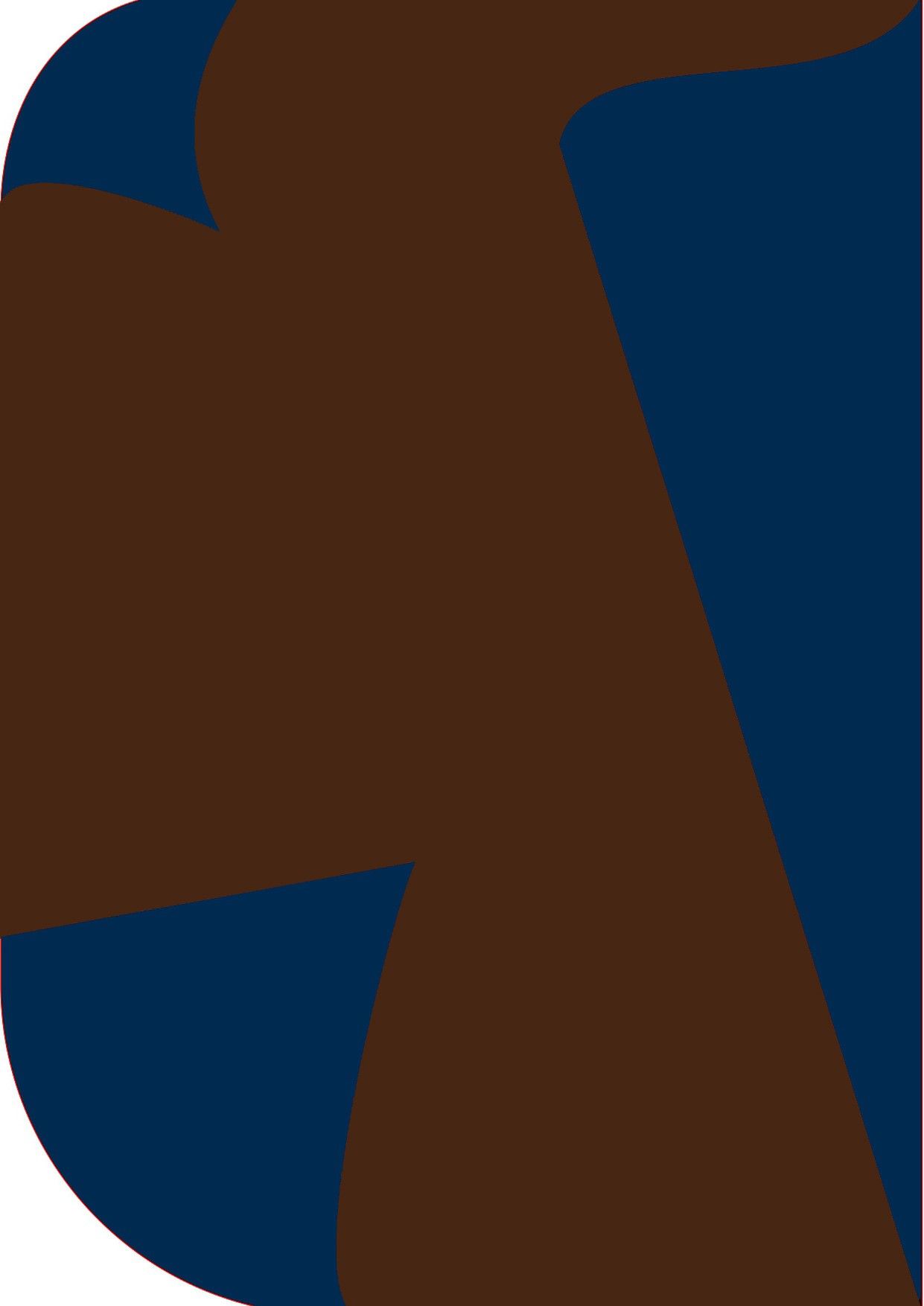 Stookin 8X 12ft ,2 In 1 Colors Single Photography Backdrop(Navy Blue & Brown 2 in 1) Reflector-picture-28