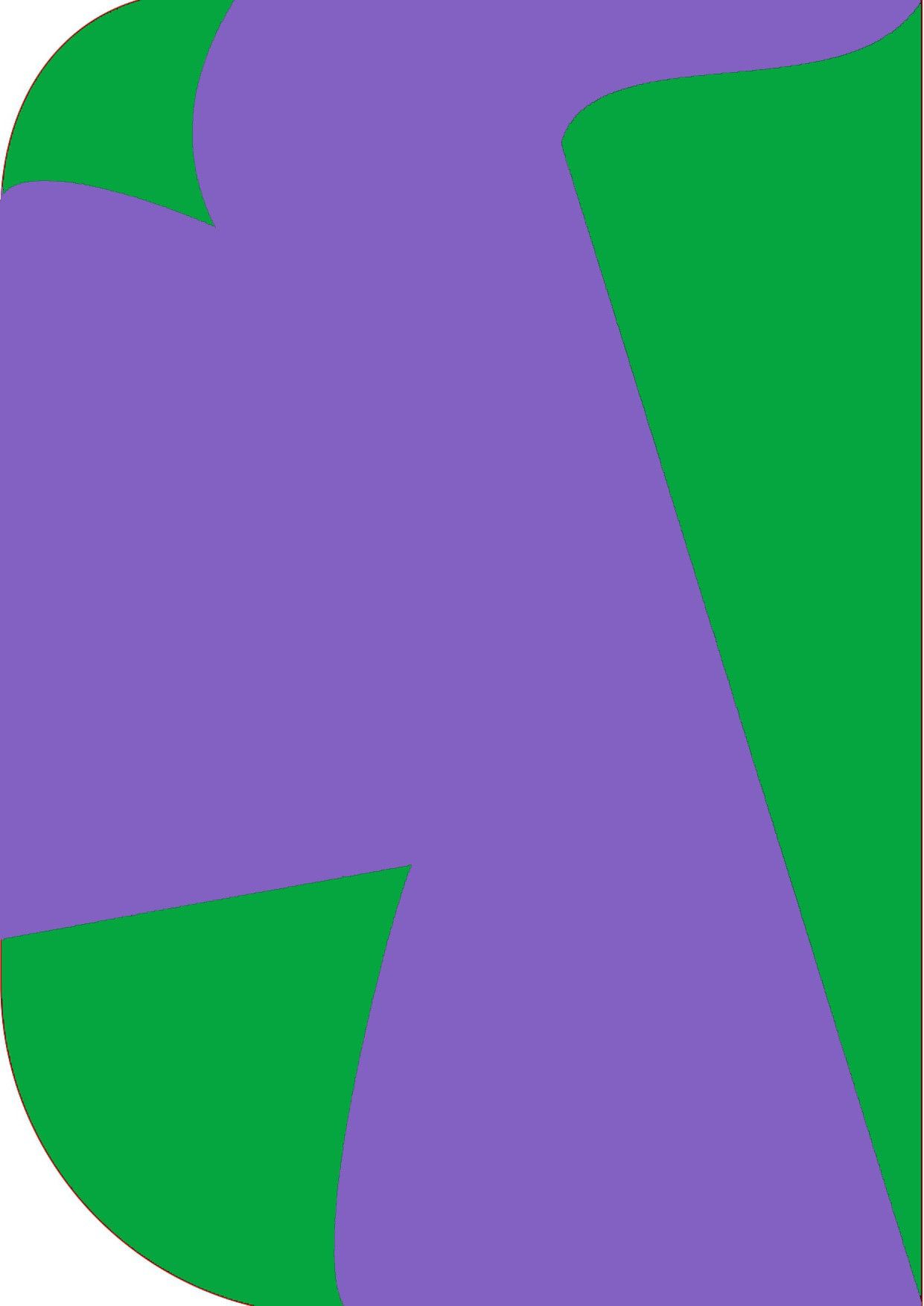 Vistook 8X 12ft ,2 In 1 Colors Single Photography Backdrop(M-Green & Purple 2 in 1) Reflector-picture-15