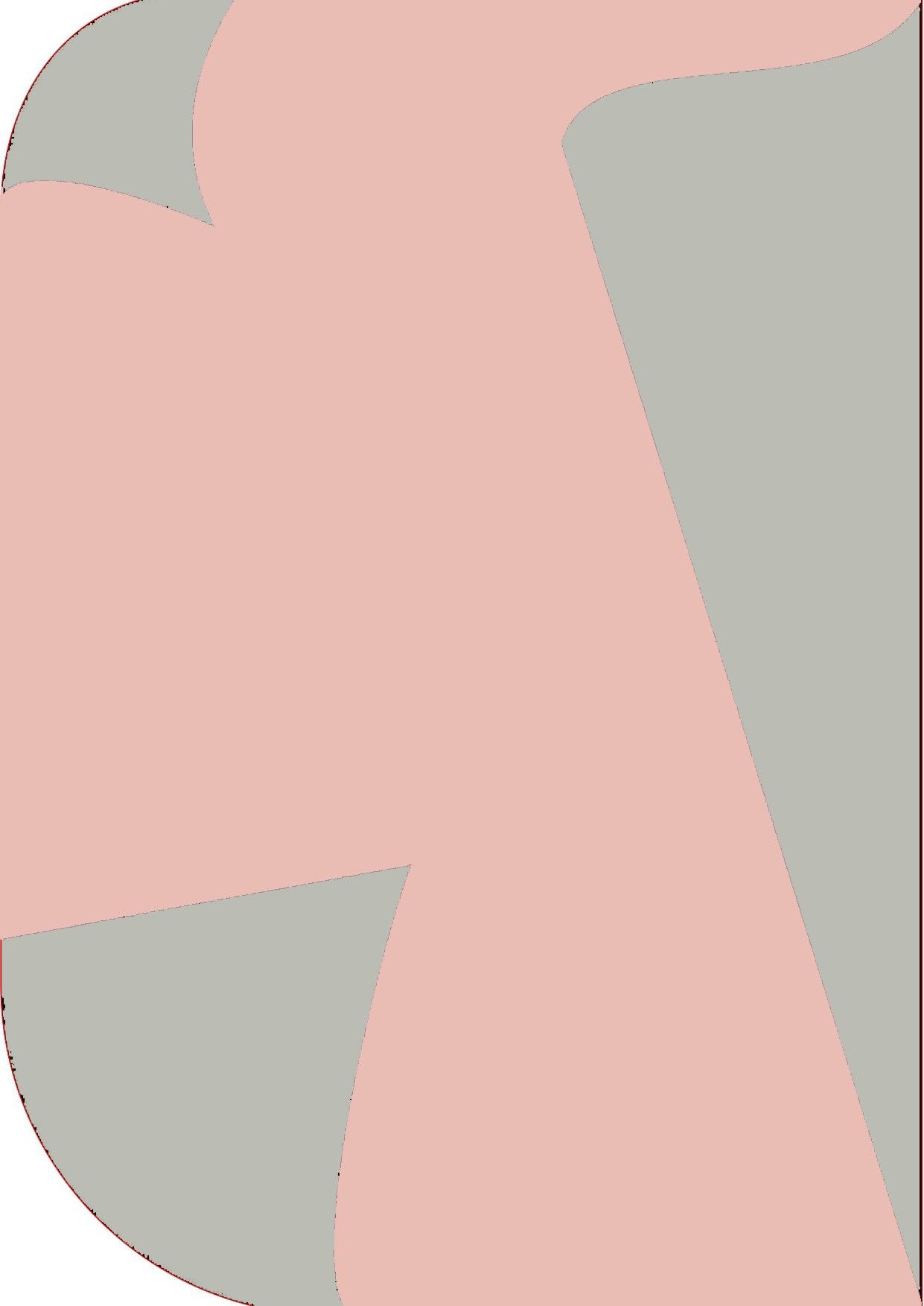Stookin 8X 12ft ,2 In 1 Colors Single Photography Backdrop(Grey & Pink 2 in 1) Reflector-image-42