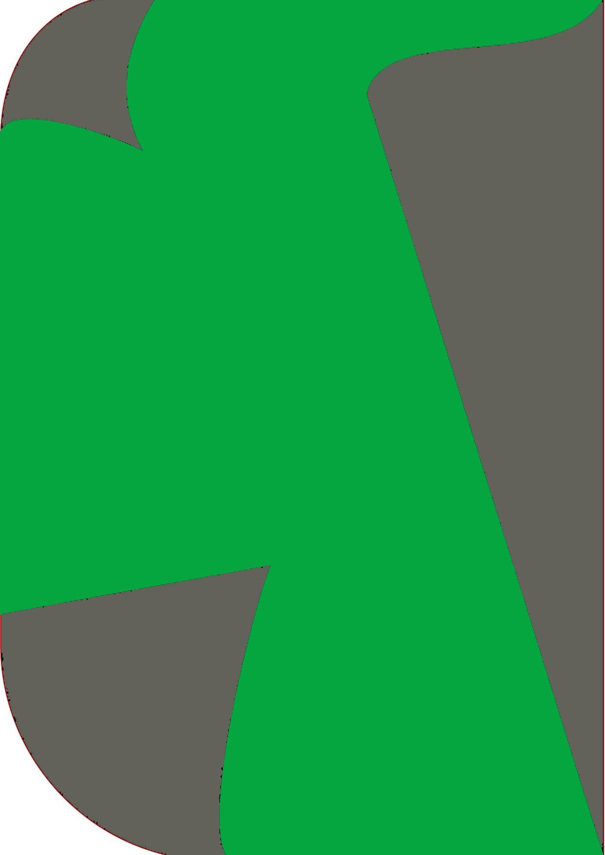 Cam cart 8X 12ft,2 In 1 Colors Single Photography Backdrop(Dark Grey & Medium Green 2in1) Reflector-image-1