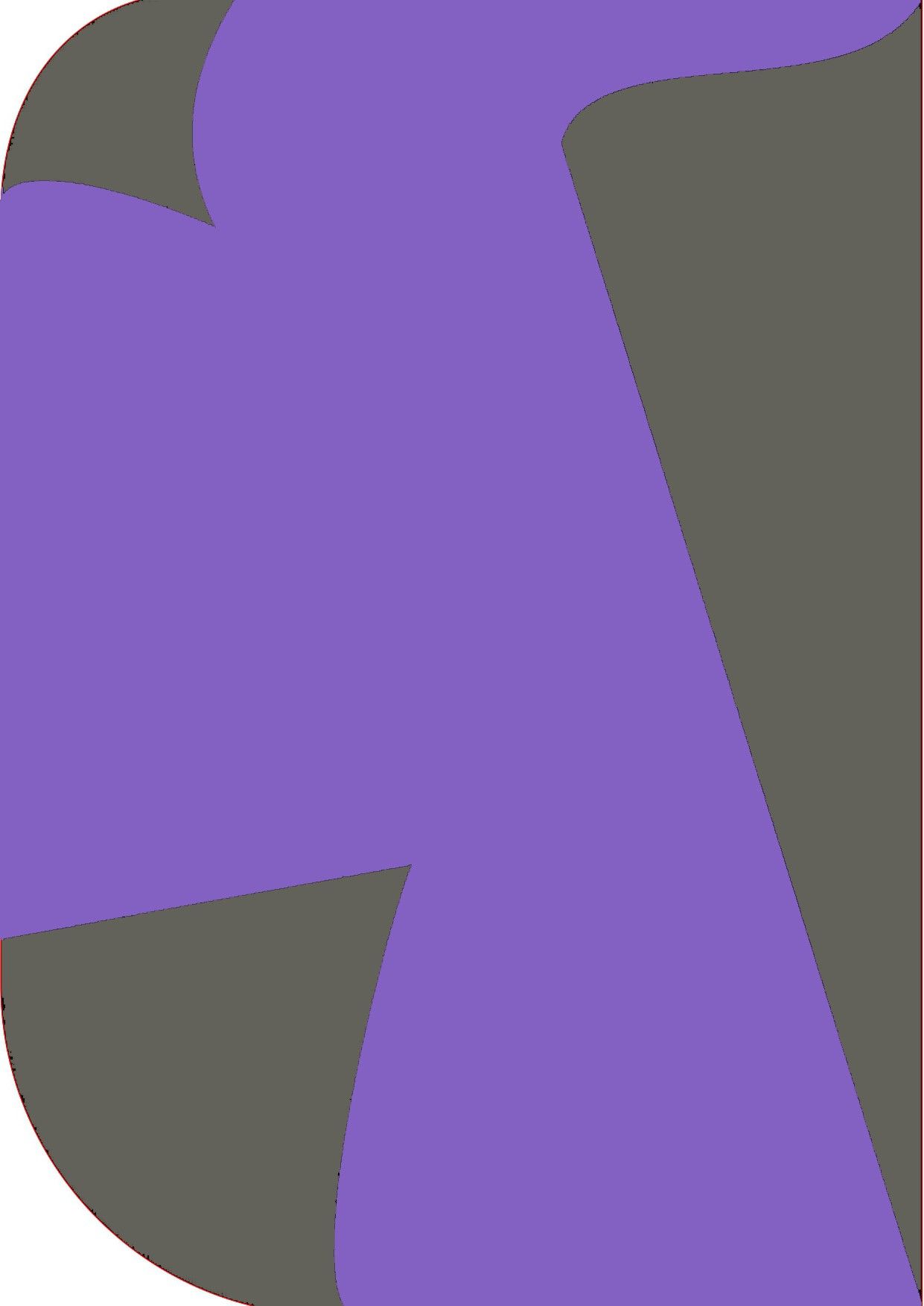 Vistook 8X 12ft ,2 In 1 Colors Single Photography Backdrop(Dark Grey & Purple 2 in 1) Reflector-image-25