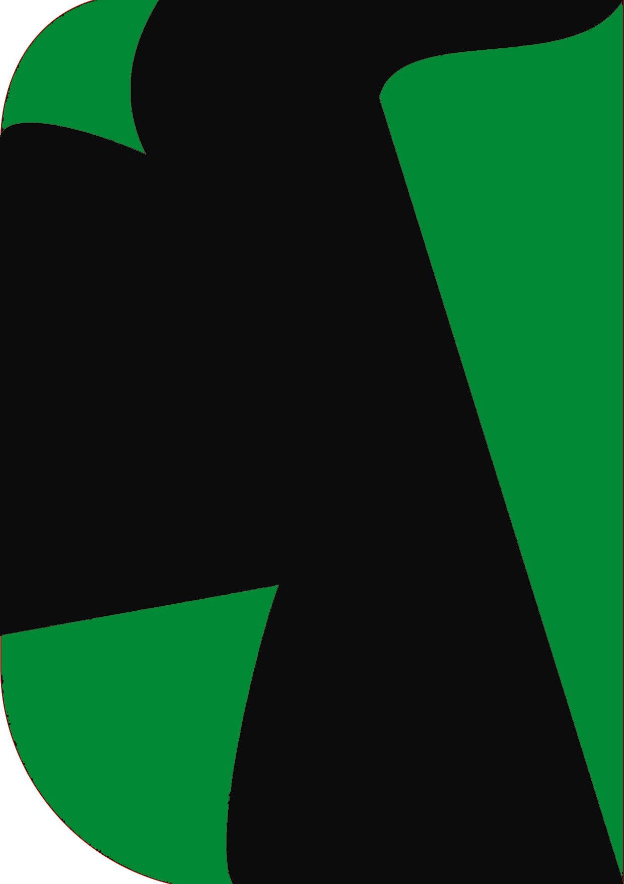 Stookin 8X 12ft,2In1 Colors Single Photography Backdrop(Dark Green & Black 2in1) Reflector-image-46