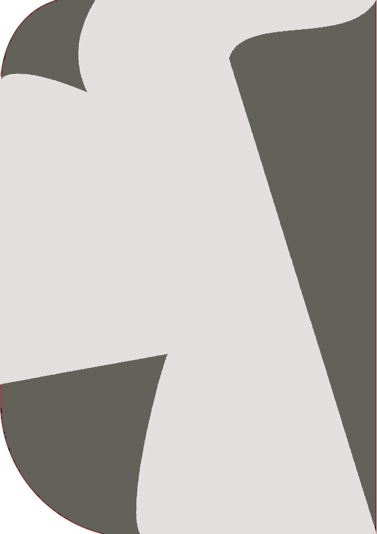 Vistook 8X 12ft ,2 In 1 Colors Single Photography Backdrop(Dark Grey & White 2 in 1) Reflector-picture-44
