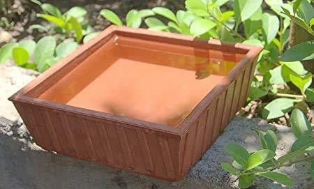 newai Terracotta Bird Bath Earthen Pot pack of 1 Regular Bird Bath-picture-10