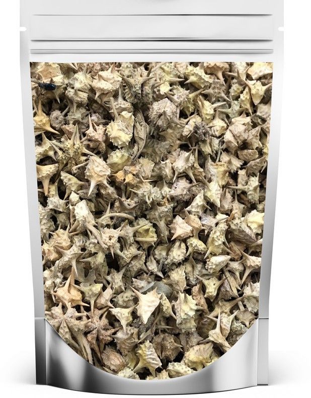 GOKHRU BIG-GOKHARU BADA-PEDALIUM MUREX-CALTROPS Seed-image-8