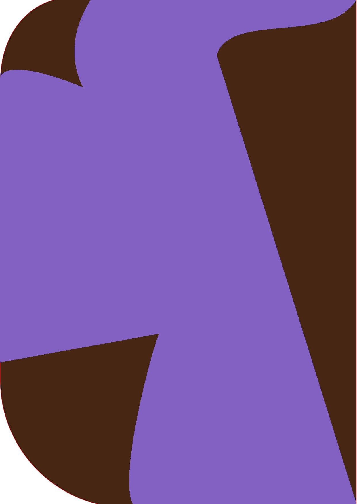 Vistook 8X 12ft ,2 In 1 Colors Single Photography Backdrop(Brown & Purple 2 in 1) Reflector-picture-29