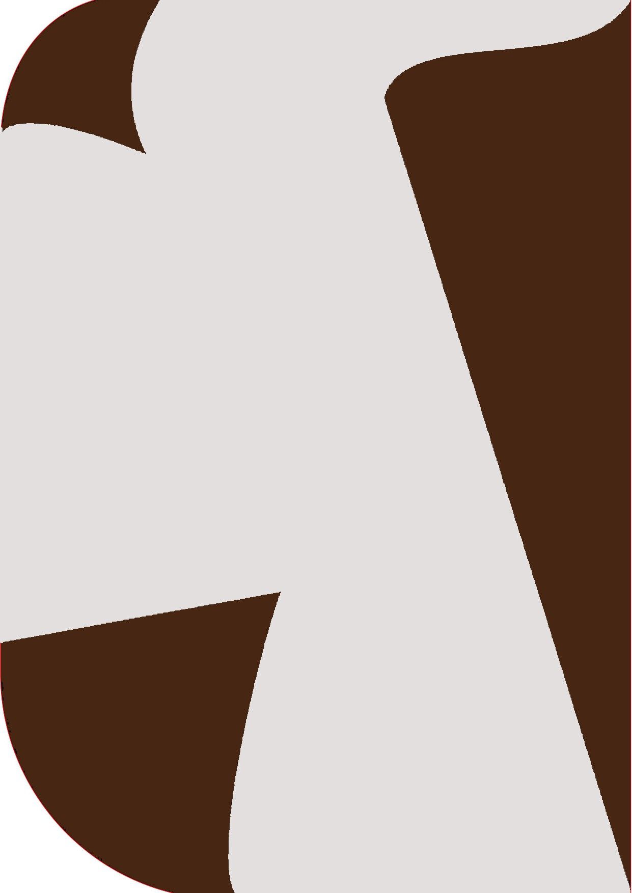 Vistook 8X 12ft ,2 In 1 Colors Single Photography Backdrop(Brown & White 2 in 1) Reflector-picture-24