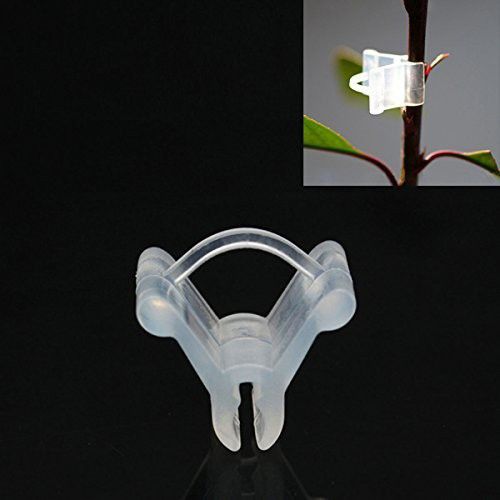25 pcs Special Grafting Clip Tomato Seedling Grafting Clip Eggplant plant Clip Plant Straightener-image-36
