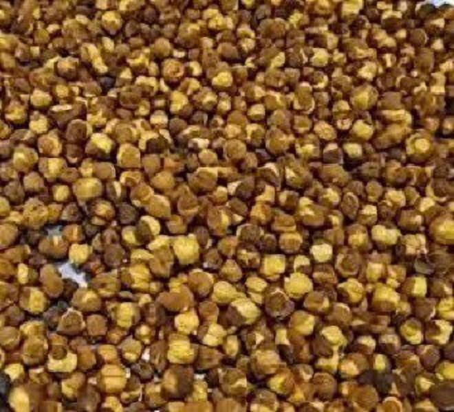 okhli musal brand Chana Sattu 490g-picture-14