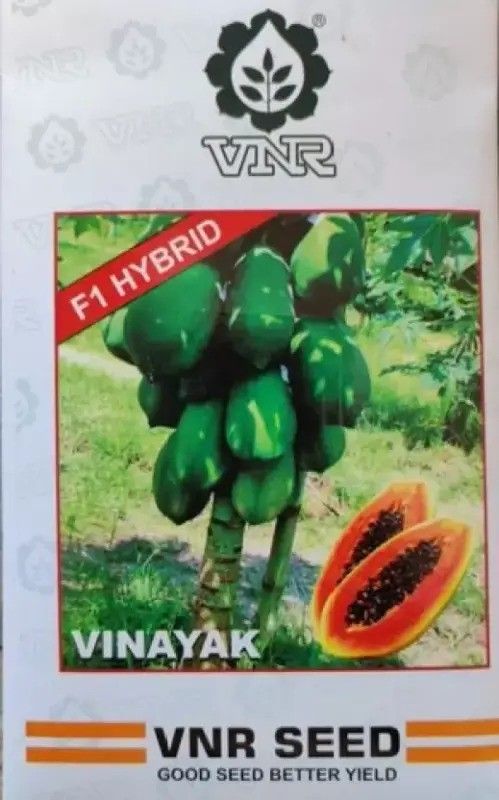 VNR VINAYAKA PAPAYA HYBRID Seed Seed-image-32