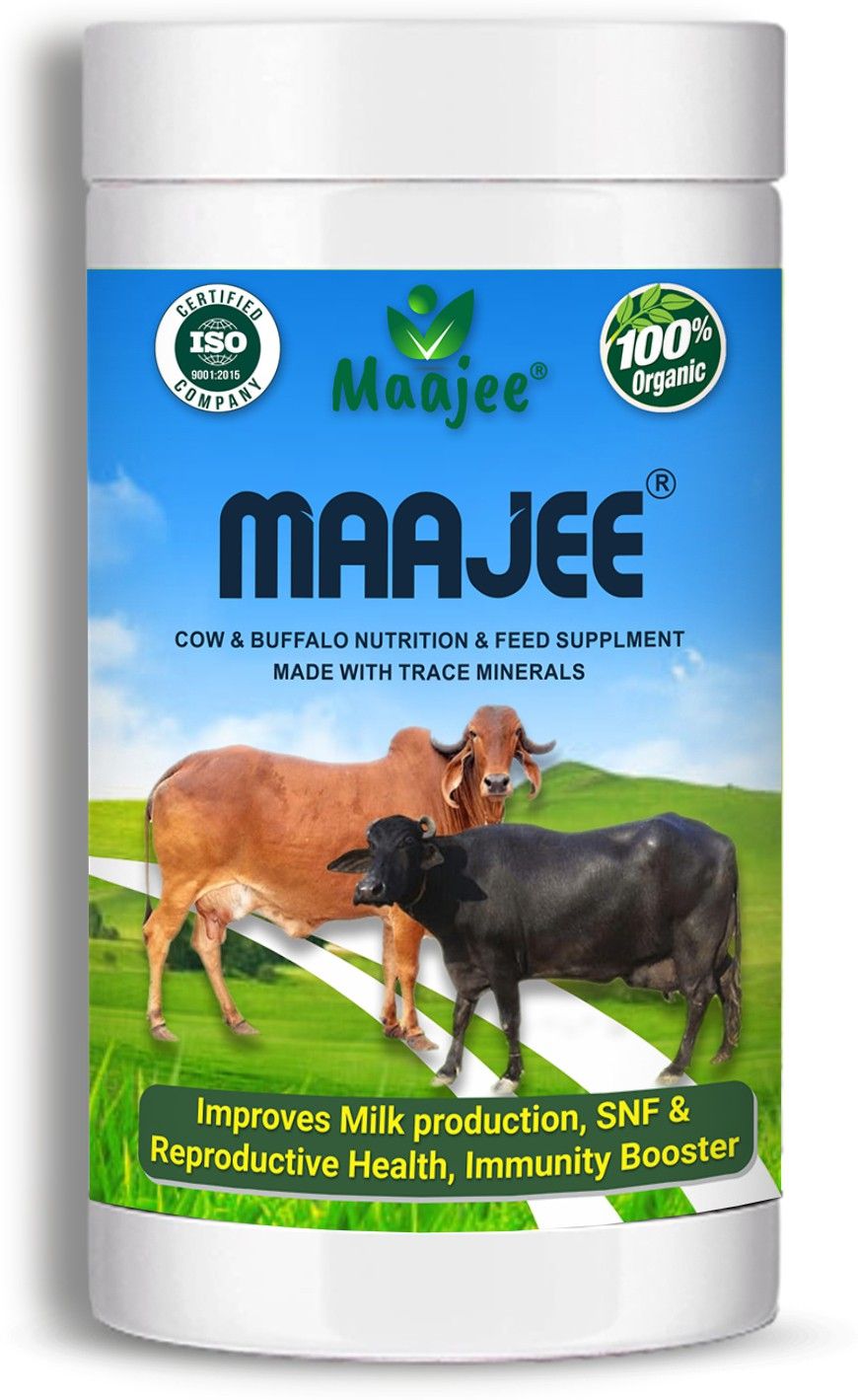 maajee Cow & Buffalo Food - Cow Feed & Health Supplement - Increase Milk Production Pet Health Supplements-picture-48