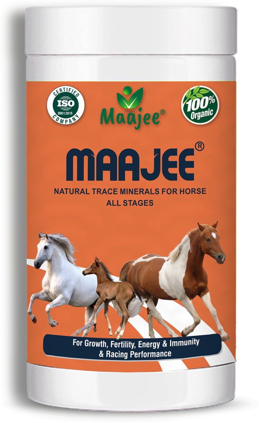 maajee Horse Health Supplement - Horse Nutrition - For Healthy Digestion Pet Health Supplements-picture-46