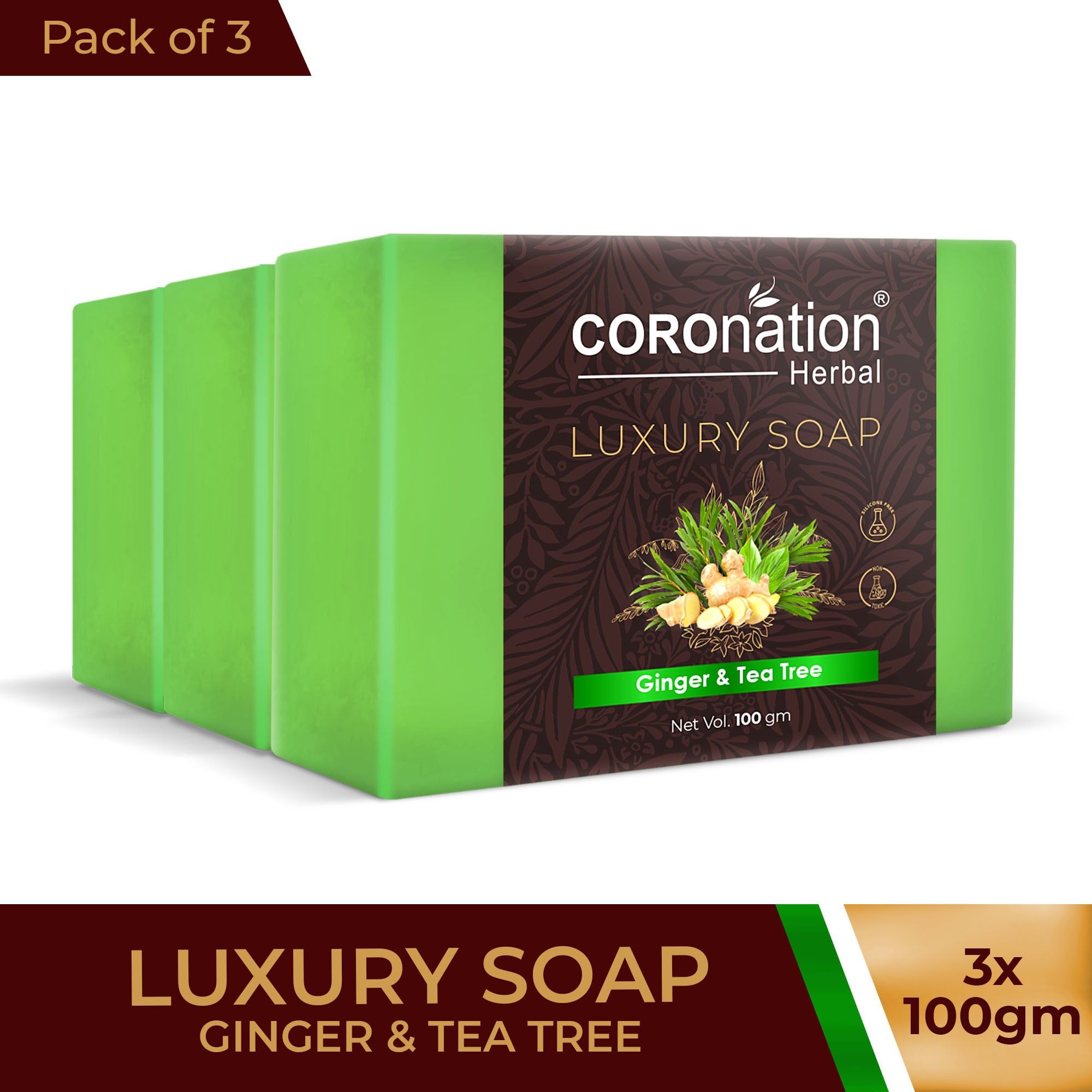 Unisex Ginger & Tea Tree Detoxifying Bathing Soap For Oil Free Glowing Skin-image-22