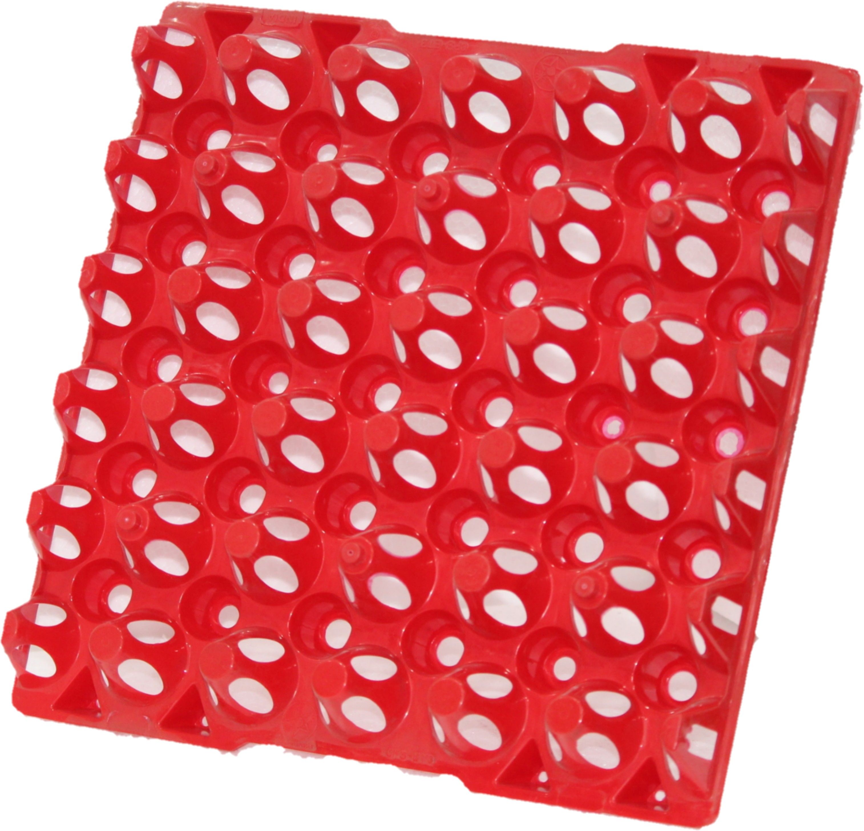 Egg holder Egg Holder