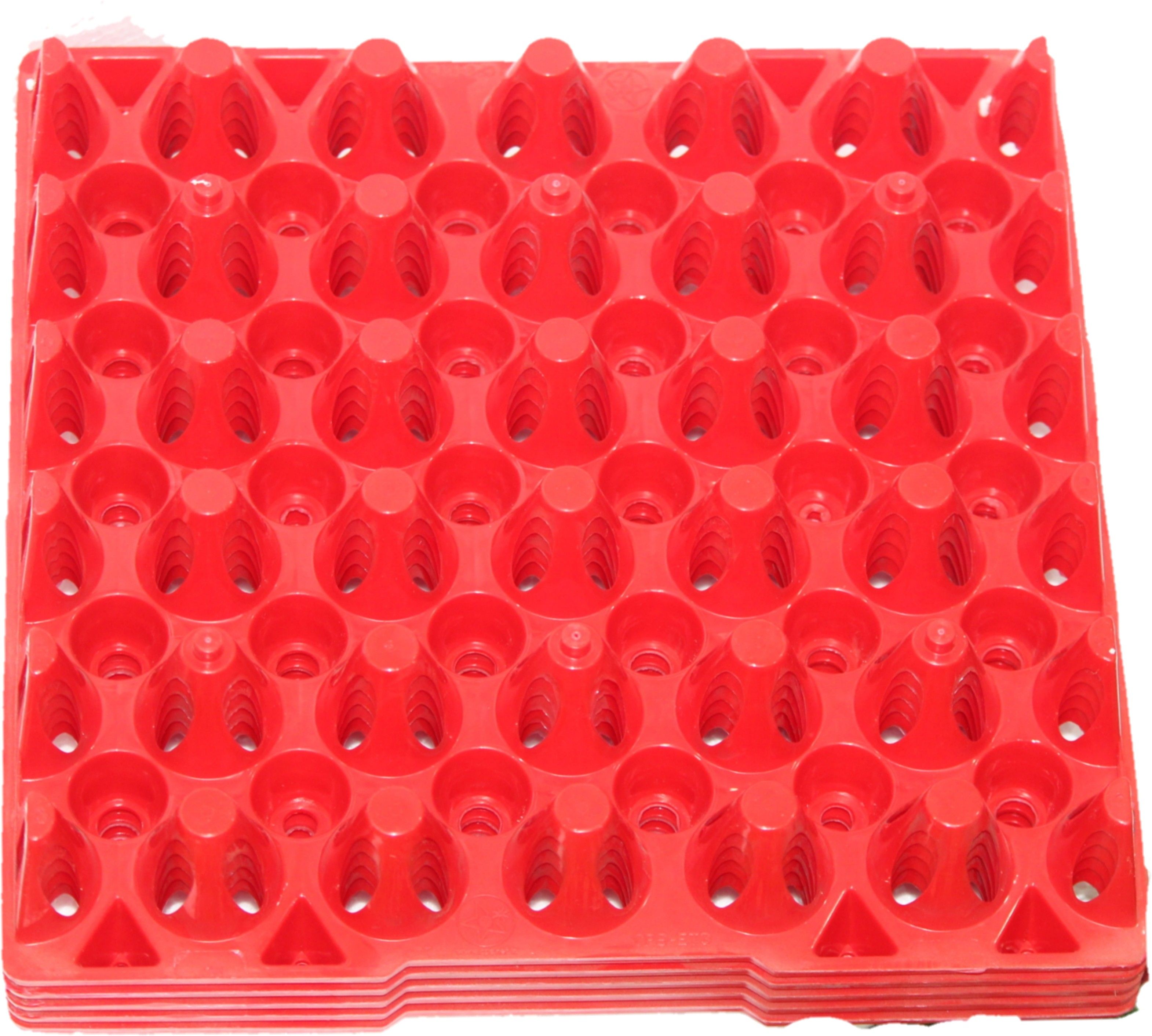 Egg holder Egg Holder