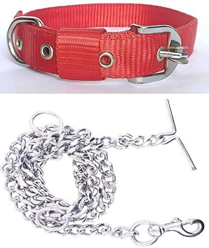 sip Good Quality Dog Belt Combo of Nylon Red Collar with Dog Chain 1Inch Lengthy 160 cm Dog Chain Leash-picture-10