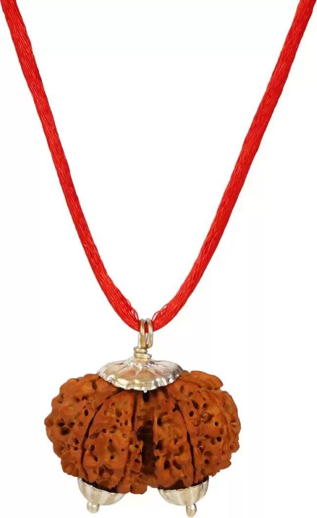 chopra gems Gauri Shankar Rudraksha Original God Shiv Parvati Rudraksha For Both Unisex Wood-picture-25