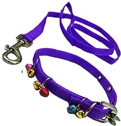 sip Nylon Dog Belt Combo of blue Ghungroo Collar with blue 1.5m Lengthy 120 cm Dog & Cat Chain Leash-picture-37