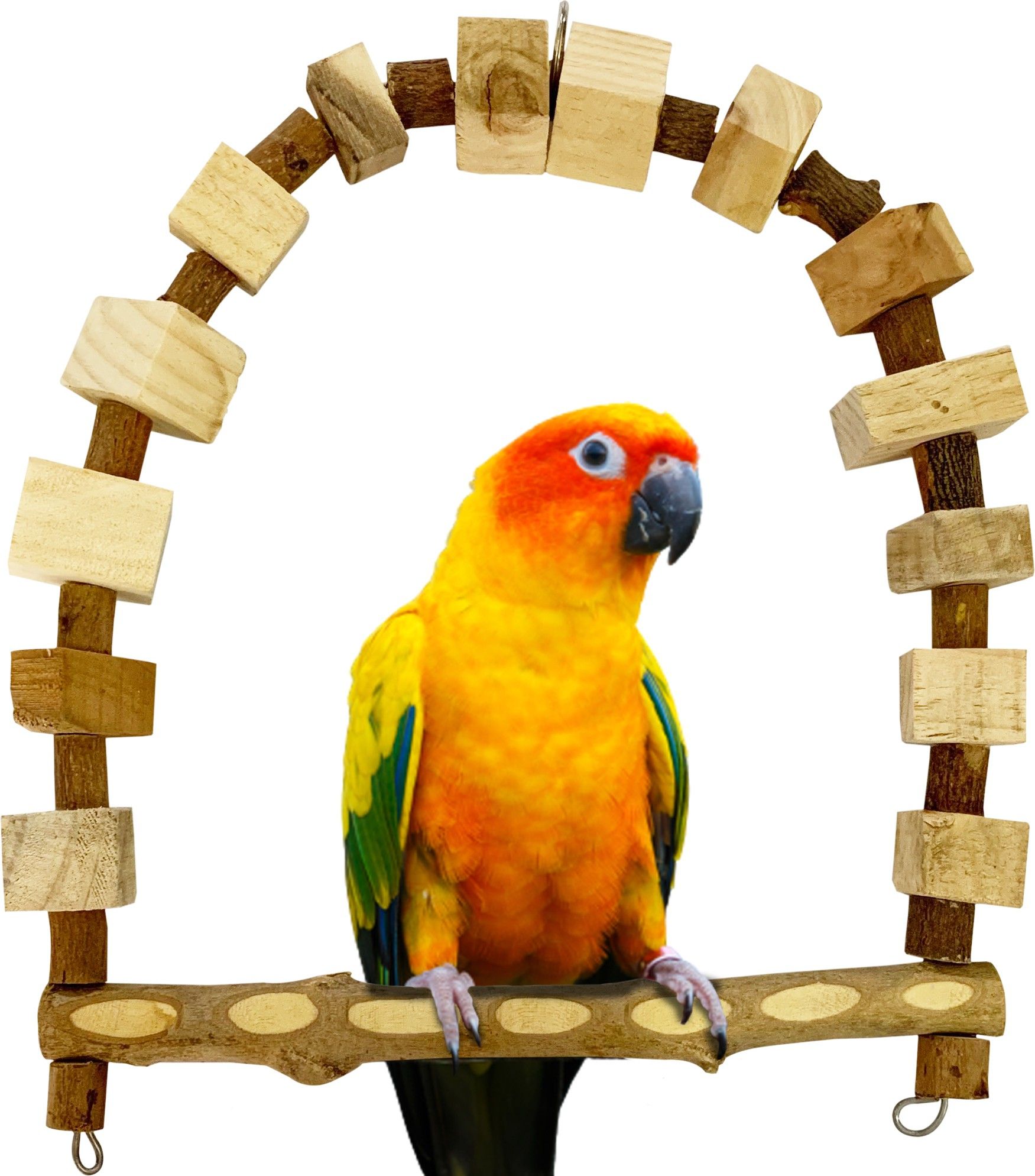 congo natural parrot treat 12 inch Swing with Dotted Perch Special Made Wooden Chew Toy For Bird-picture-26